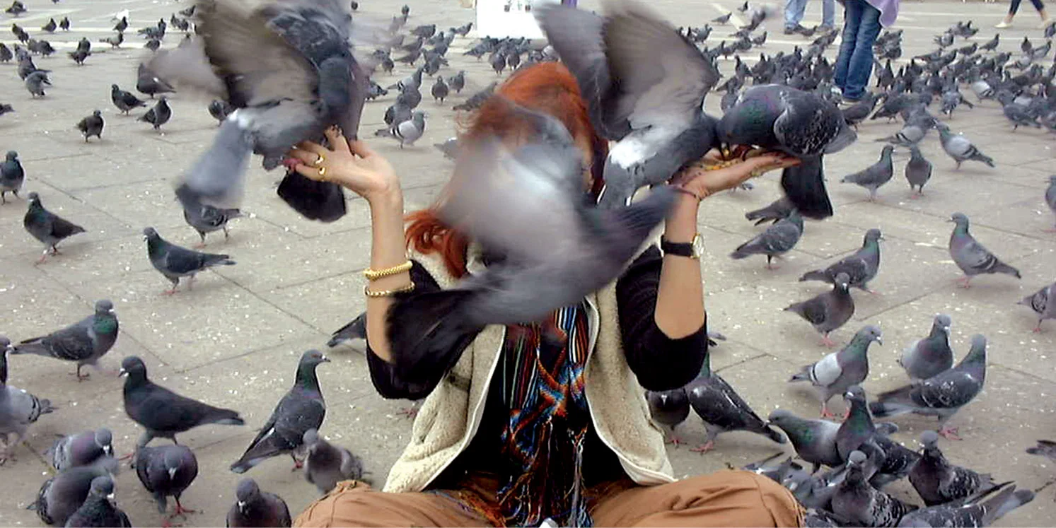PageBanner_1120x560_VenicePigeons_082015_RGB.jpg