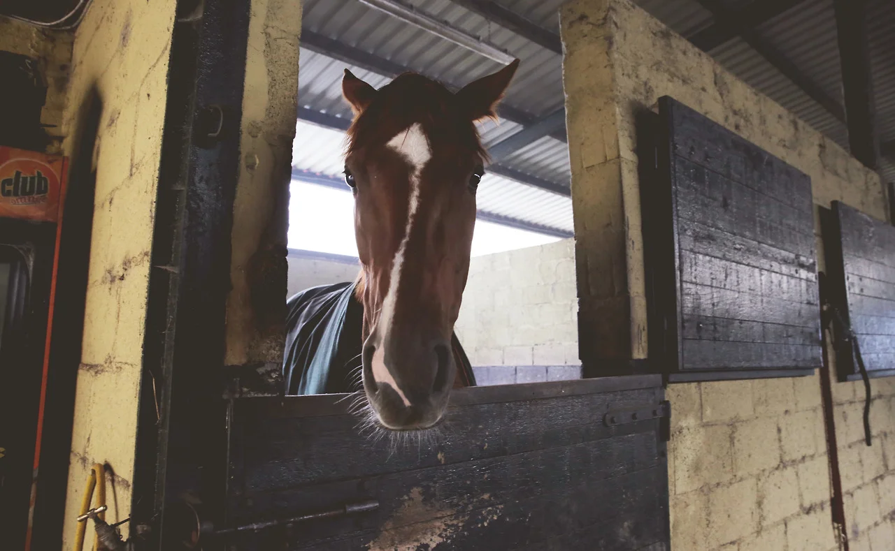 Portarlington, Ireland