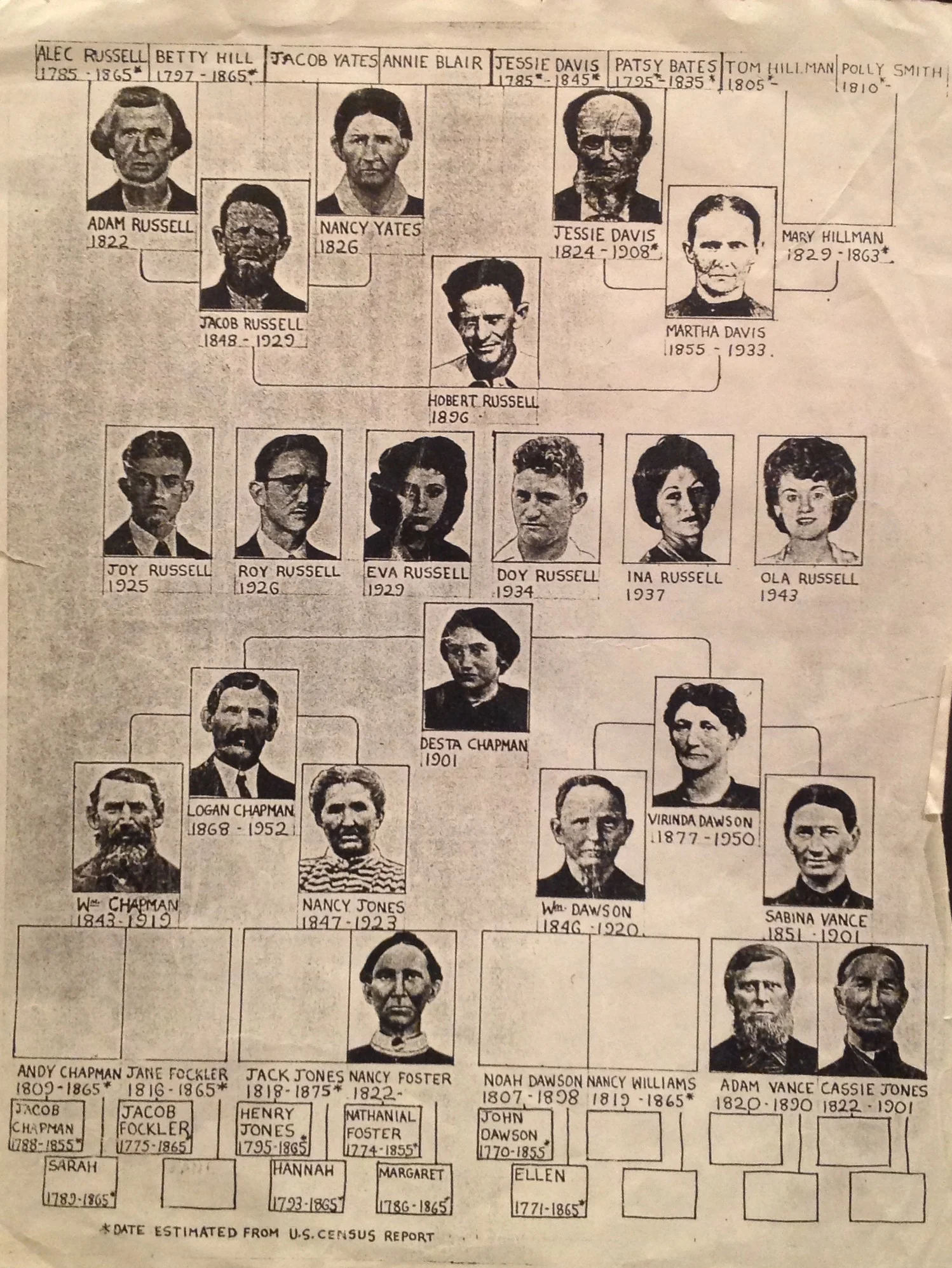 These roots run deep: my family tree