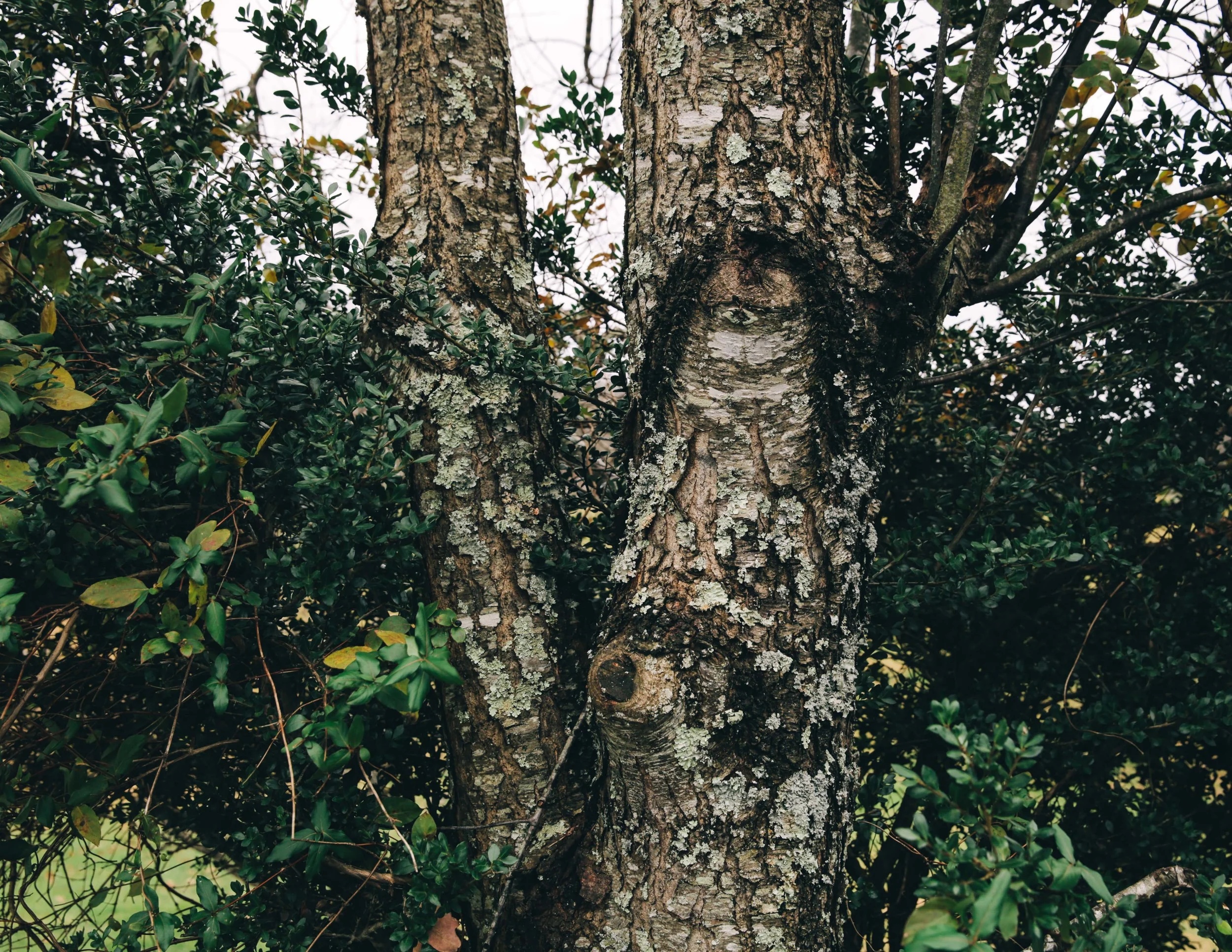 Details from the farm
