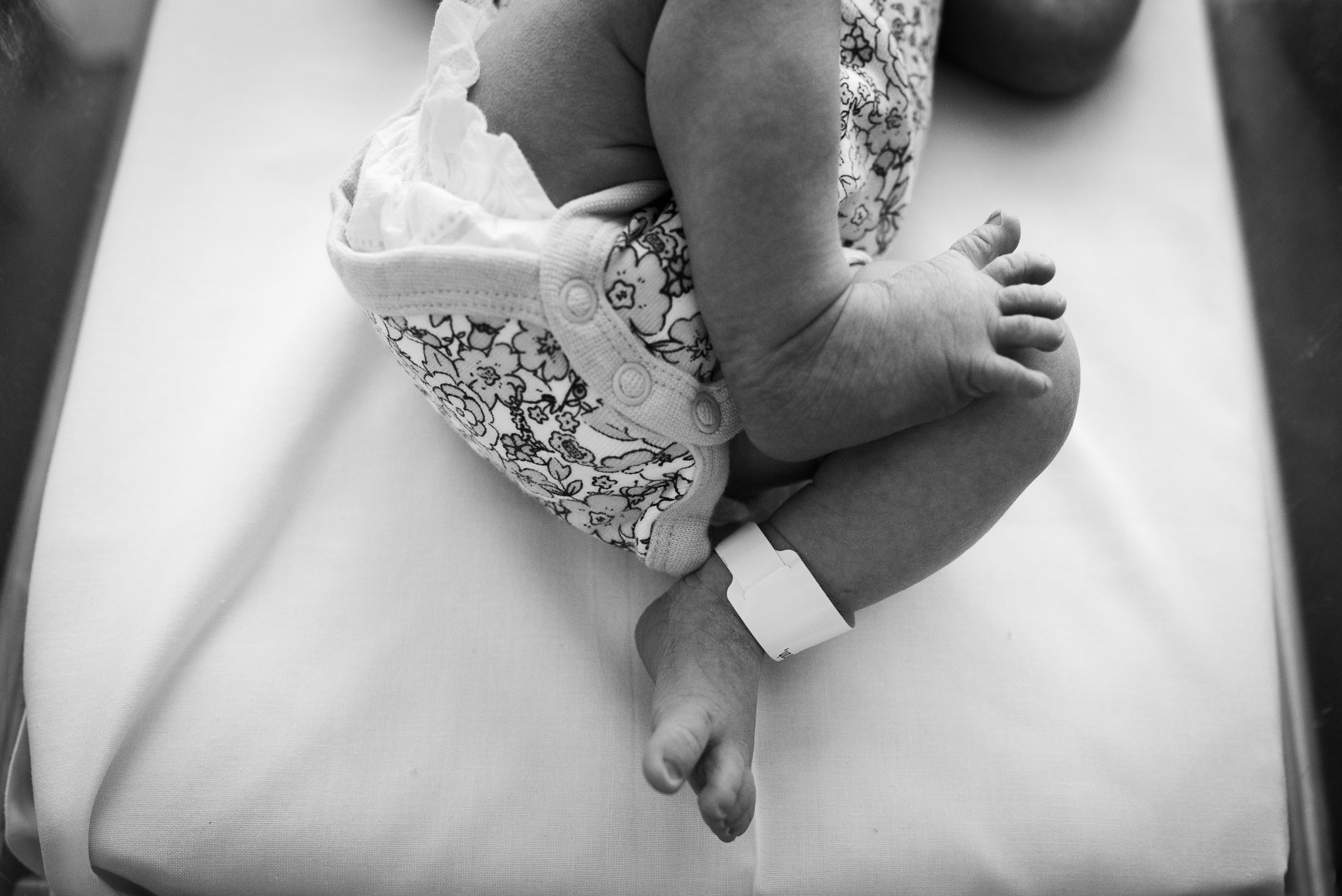 Ivy-Rose-14.jpg