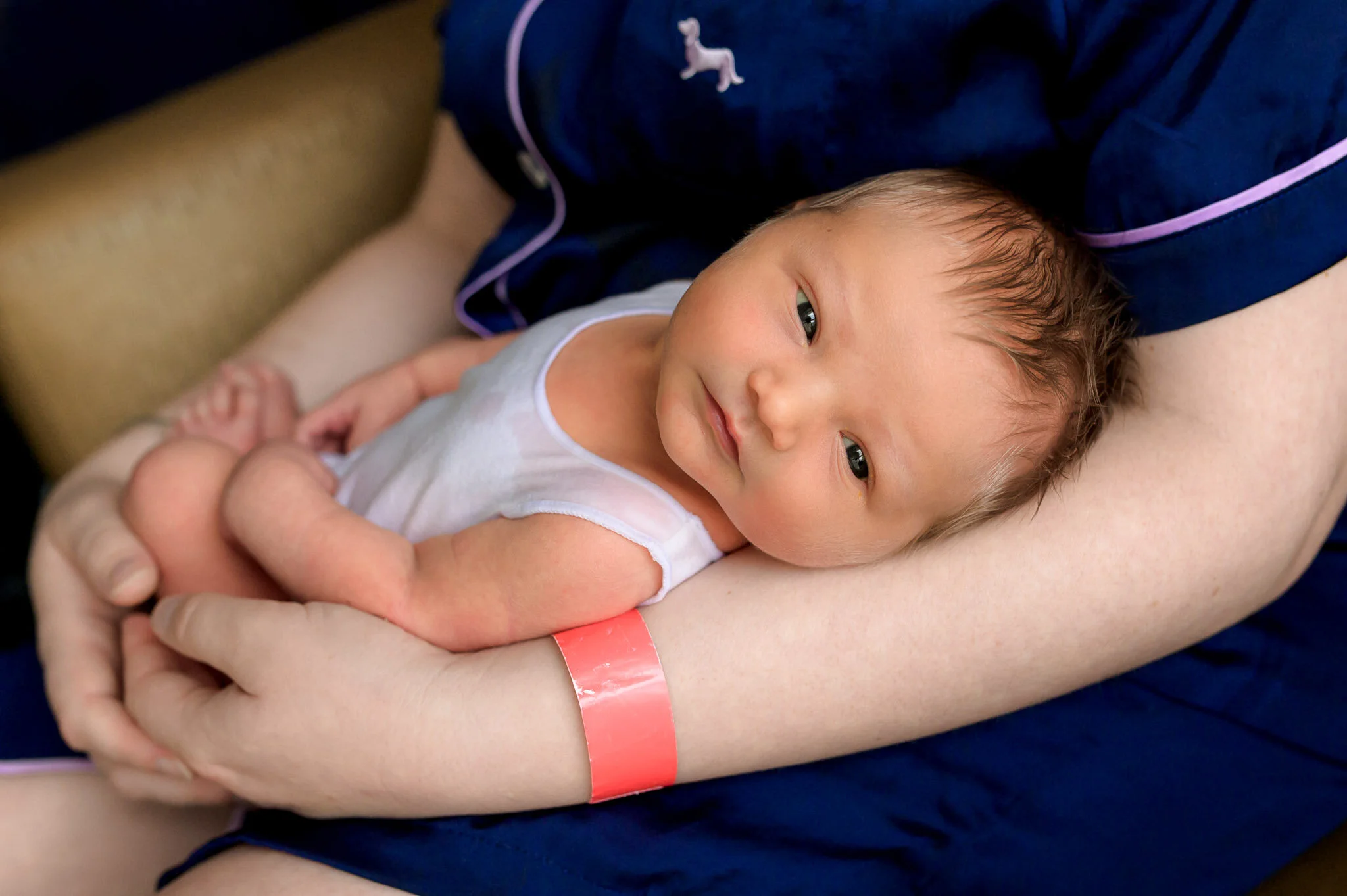 Elena first glimpse-14.jpg