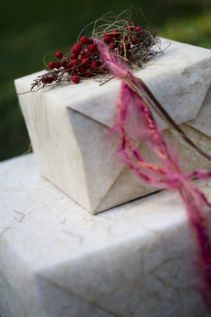 FuzzyYarn&RedBerriesNest.jpg