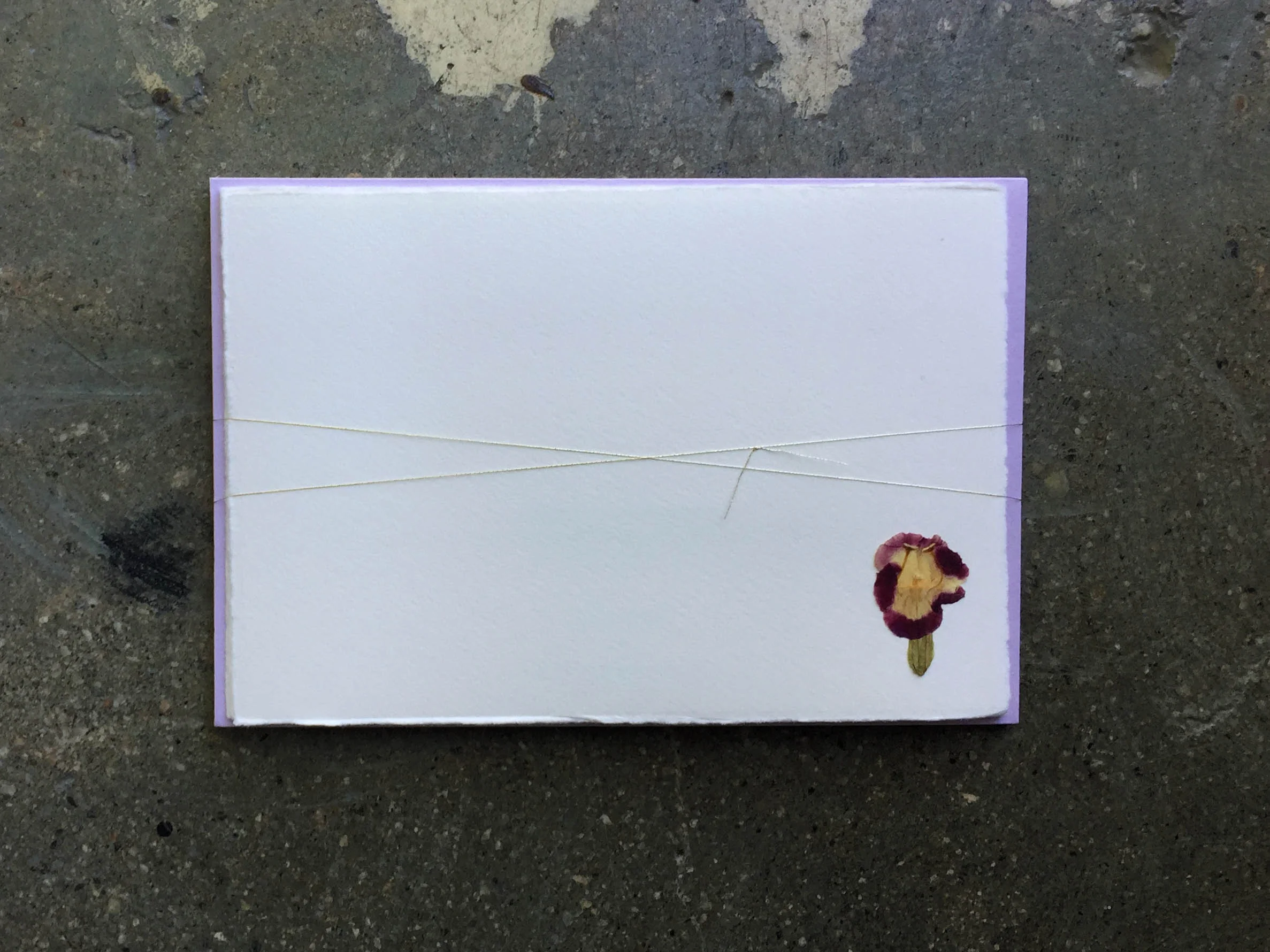purple1.jpg
