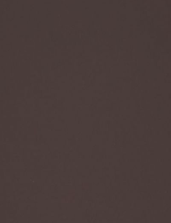 Brown Mocha Curious Skin.png