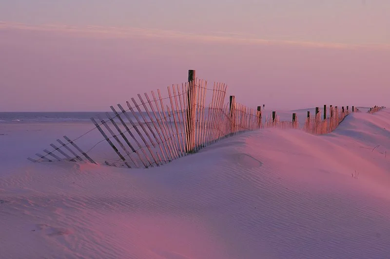 Assateague Island National Seashore