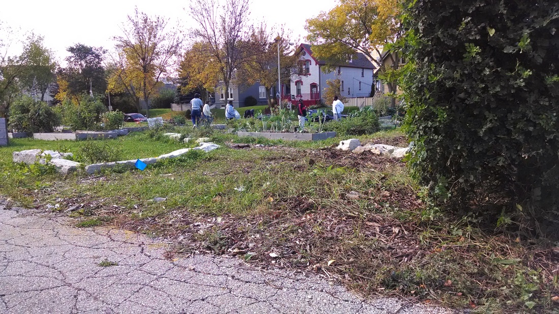 ST. FRANCIS COMMUNITY GARDENS 2.jpg