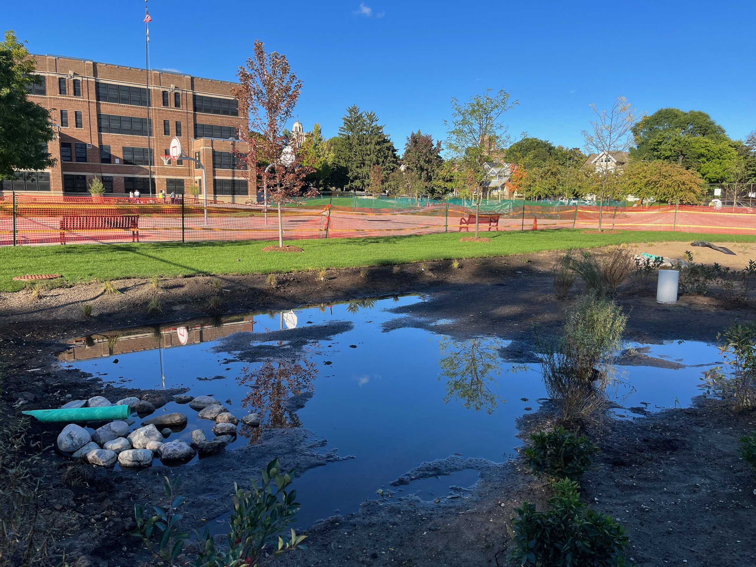 Bioswale in Action