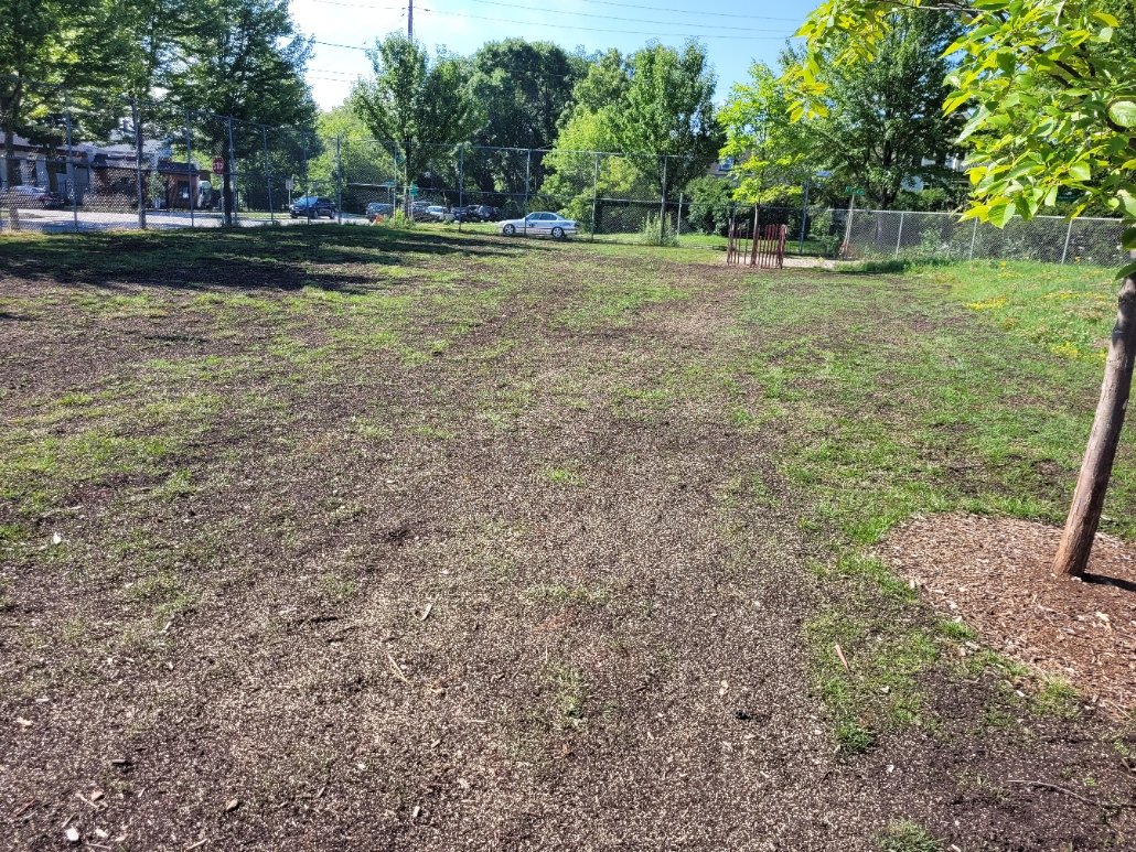 Topdressed and Seeded Fratney Schoolyard