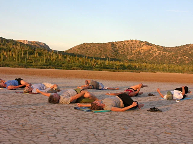 WildYogaWebBaja.jpeg