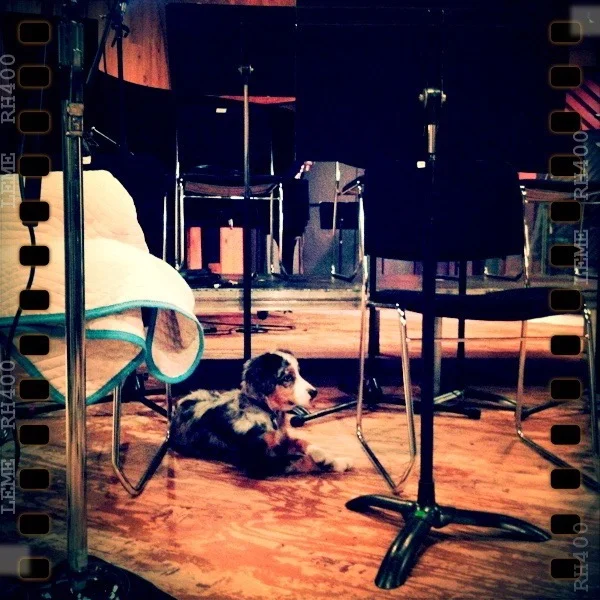 Trufa Studio A Setup 2.jpg