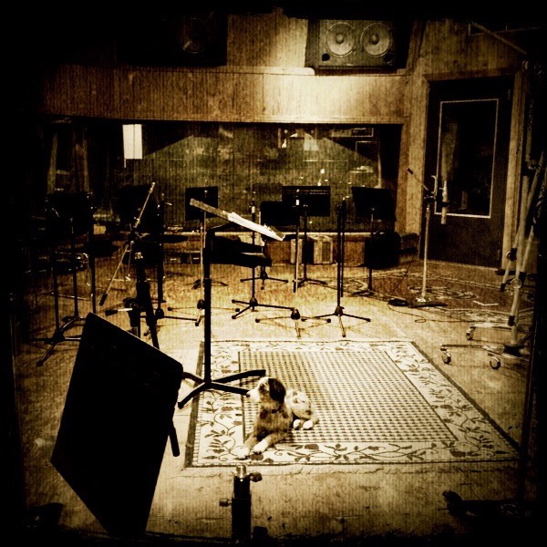 Trufa Studio A Setup 1.jpg