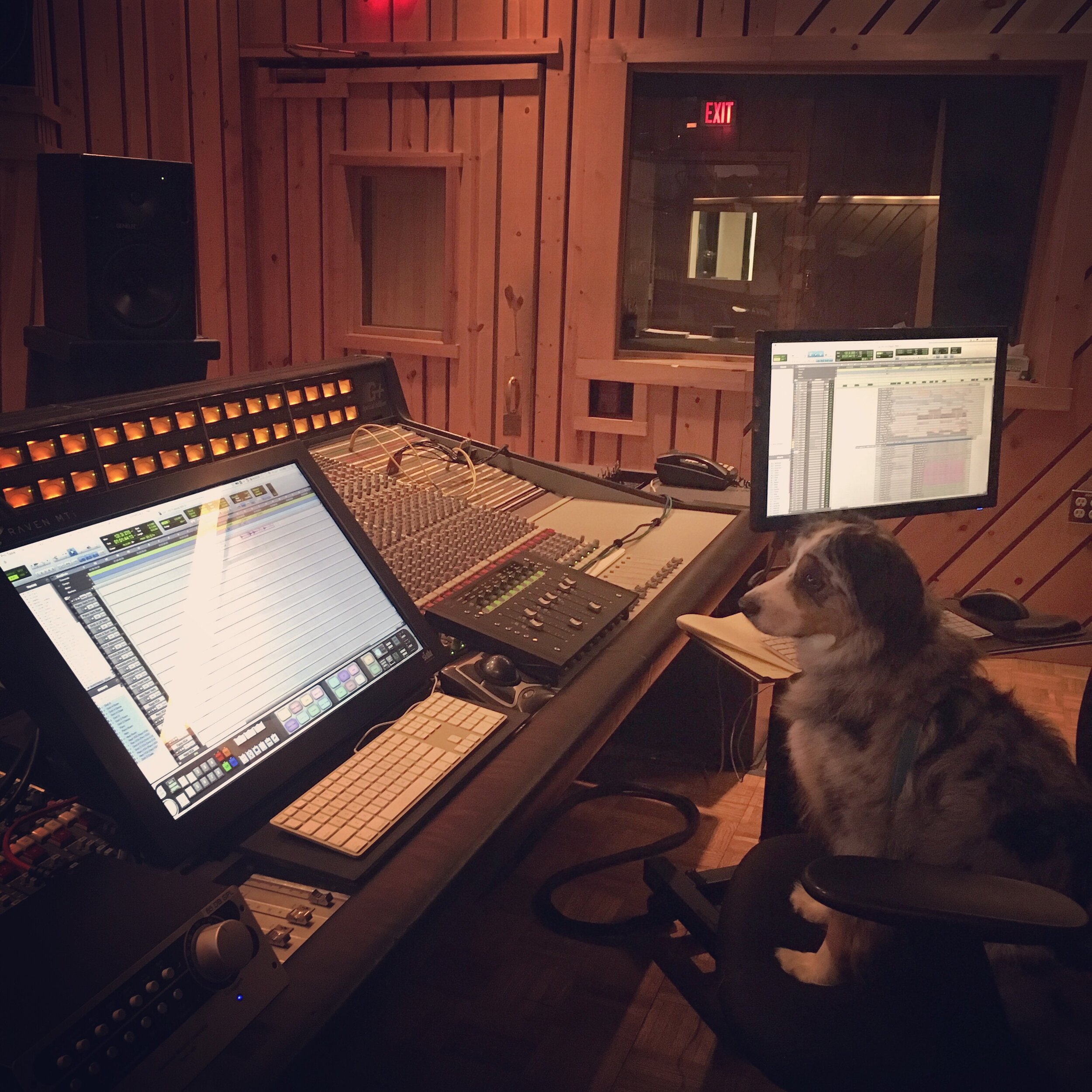 Trufa Avatar G Raven ADP Mix.JPG