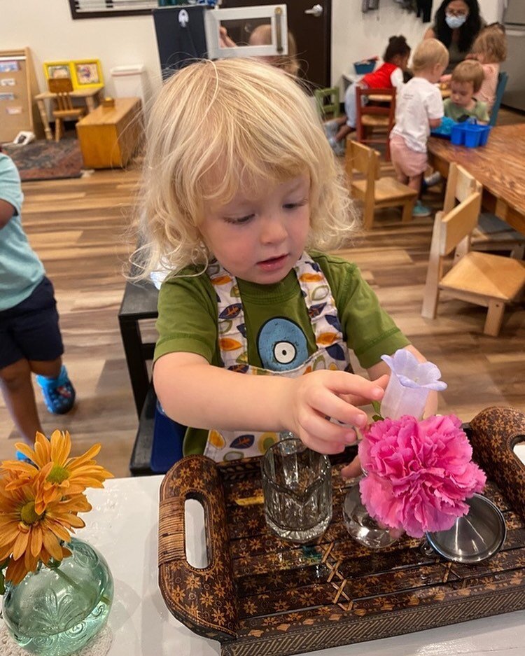 Flower Arranging 101 🌸⁣⁣
⁣⁣
What better Valentine&rsquo;s Day gift from your toddler than an arrangement of fresh flowers? ⁣⁣
⁣⁣
One of our favorite Montessori Practical Life activities we start our students working on at a young age is just that&md