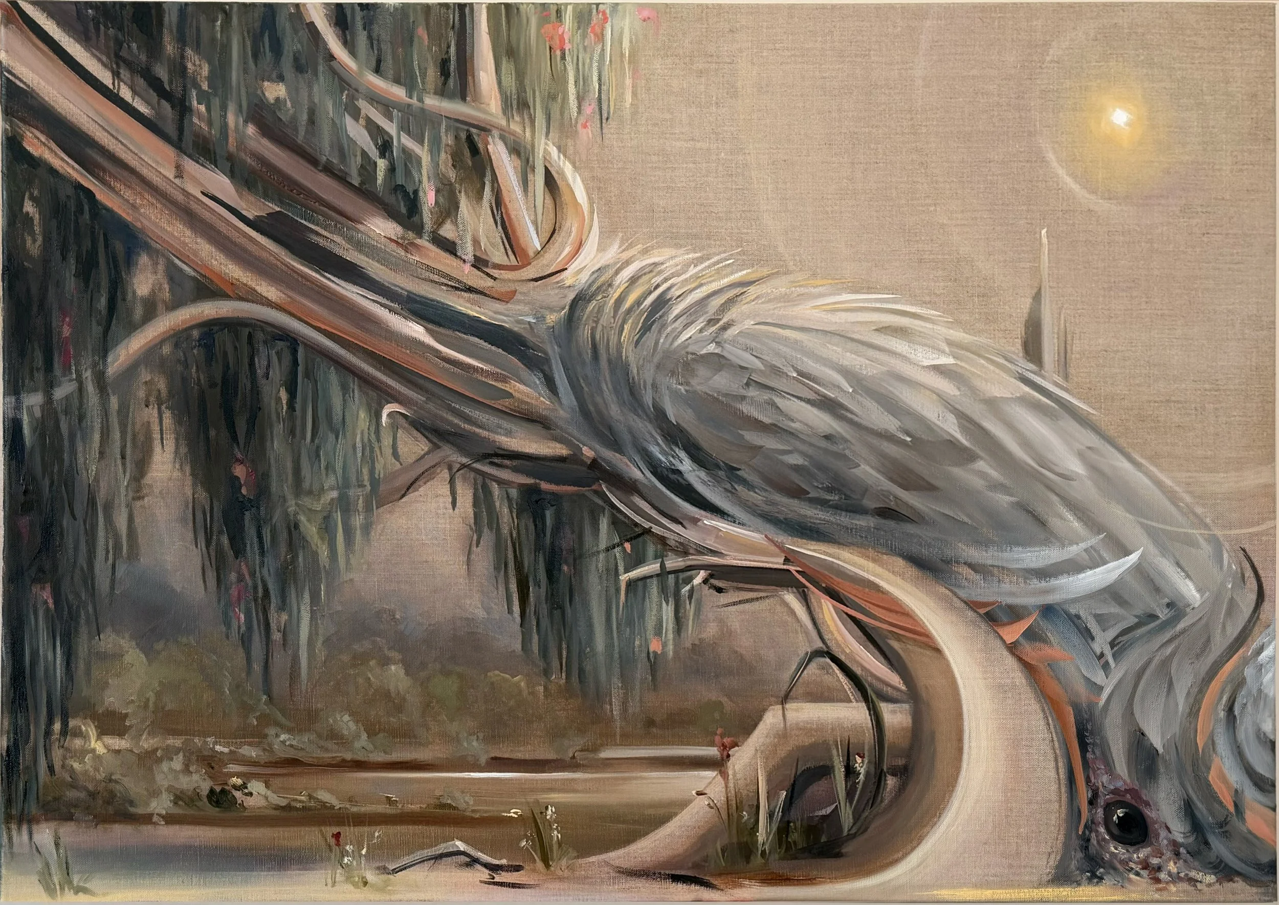 GALAH - Oil on Linen - 91cm x 61cm