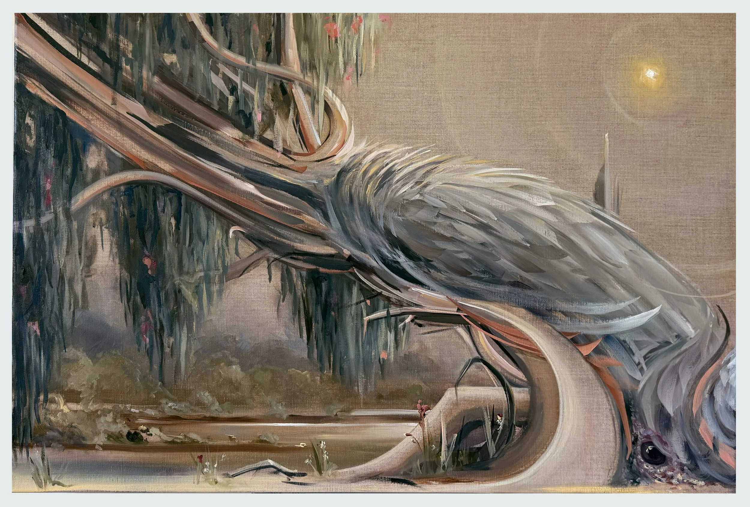 GALAH - Oil on linen - 91cm x 61cm - 2026