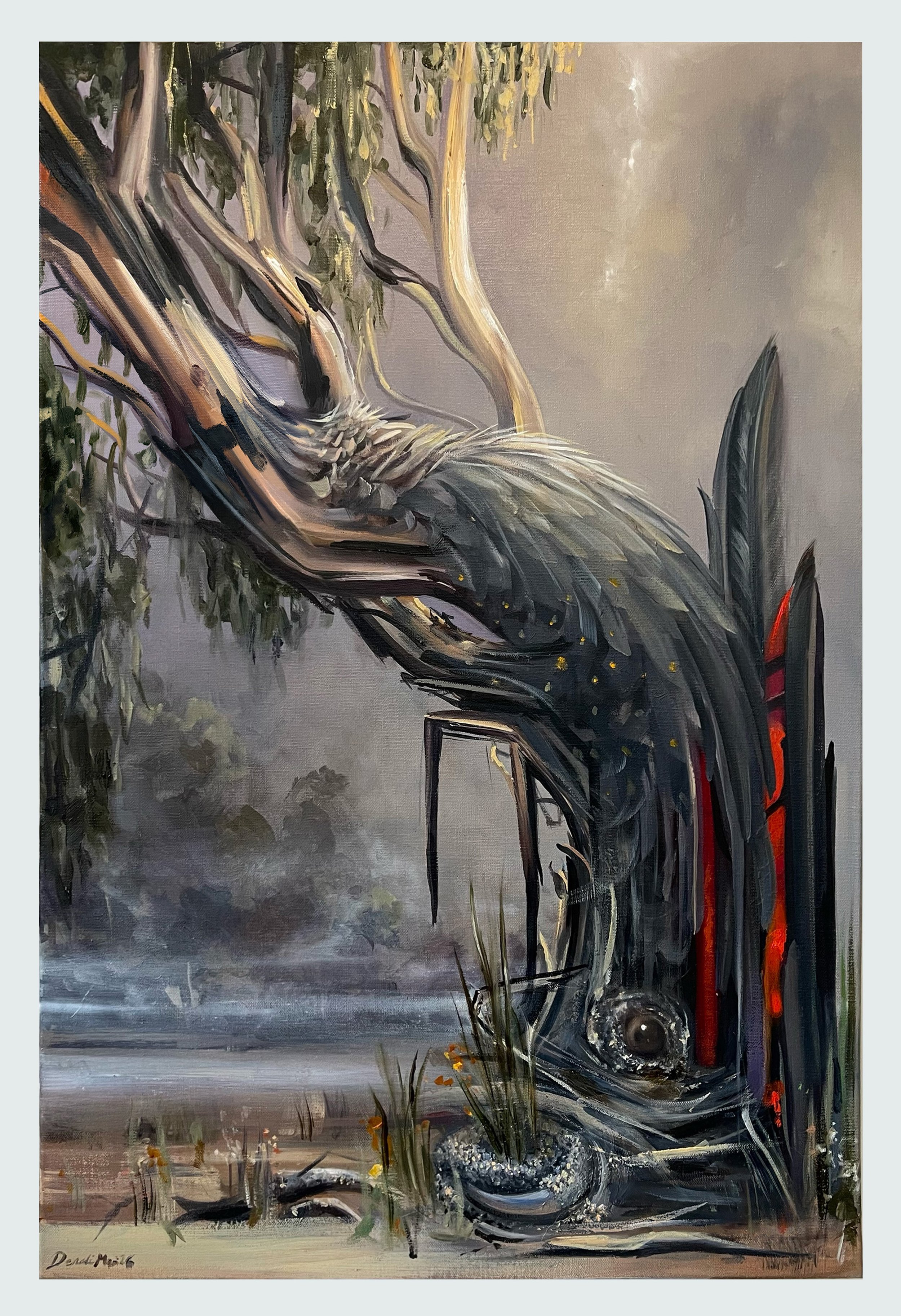 Black Cockatoo - 51cm x 76 cm - Oil on Linen - 2026