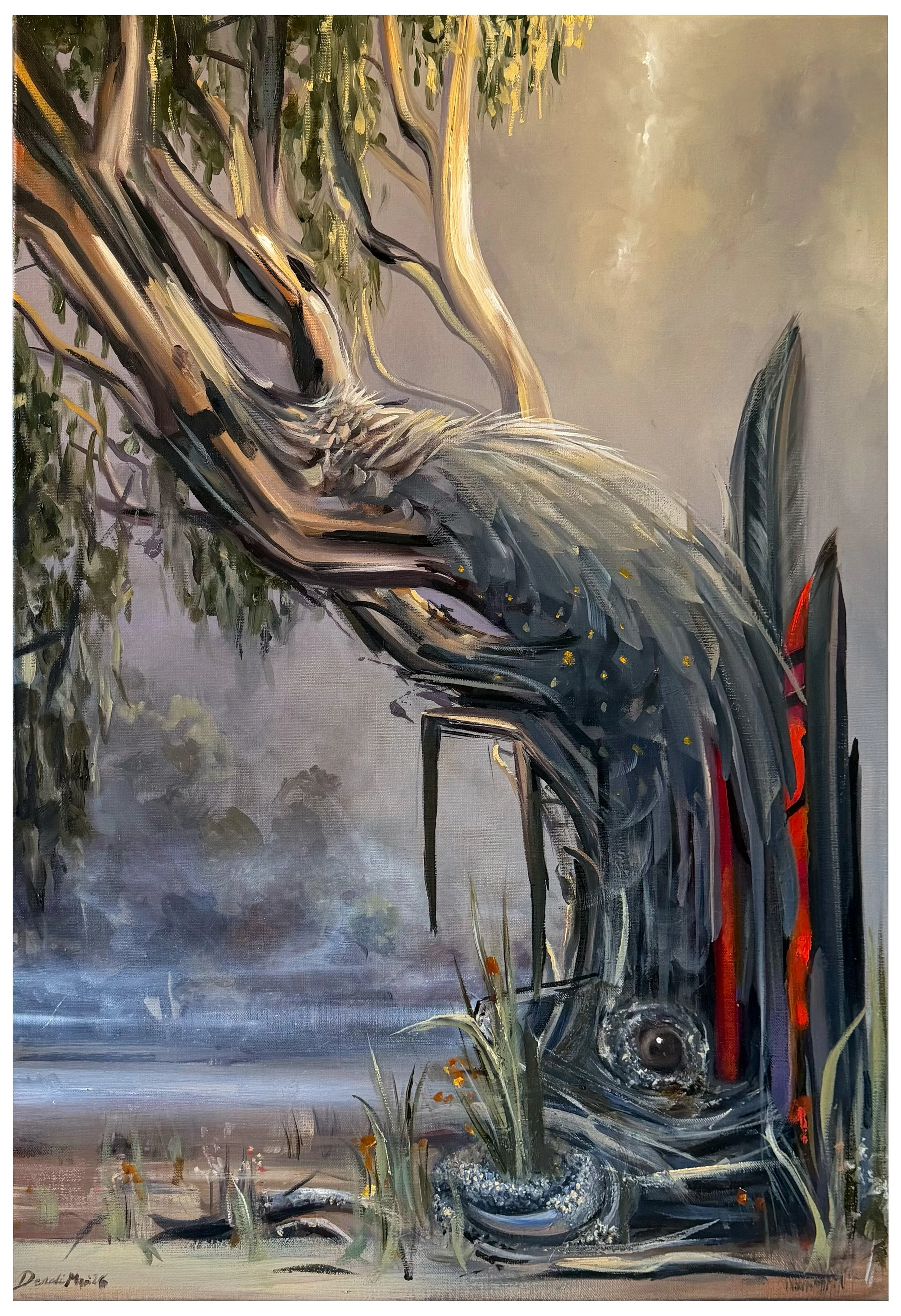 BLACK COCKATOO - oil on linen - 51cm x 76cm - 2026