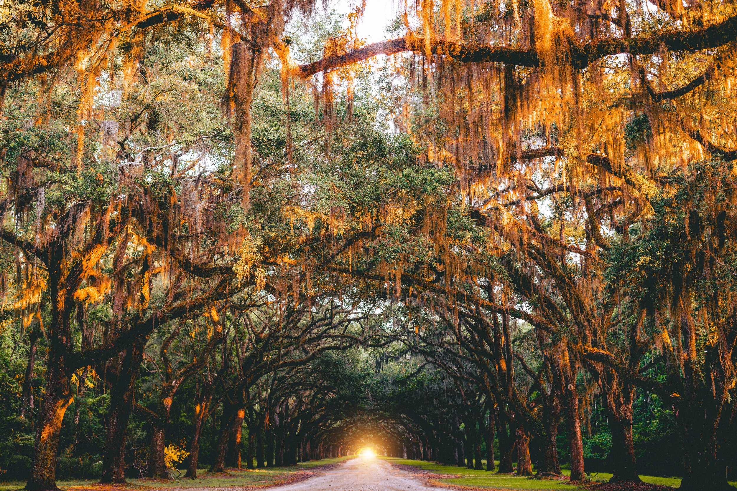 jose-llamas-444923-unsplash.jpg