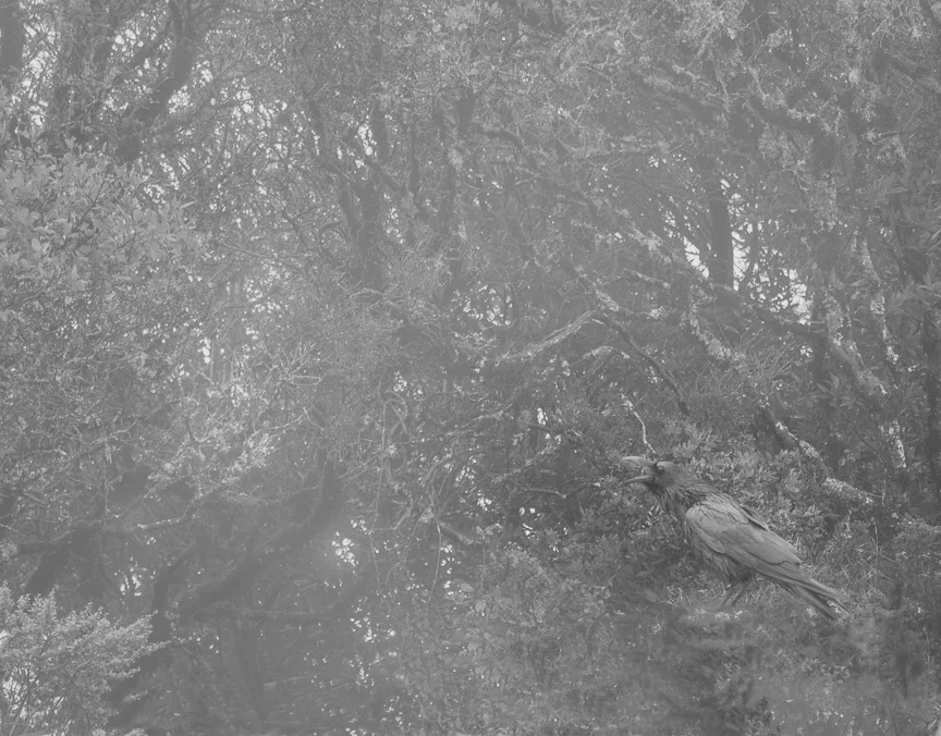 P1110623 as Smart Object-1-2.jpg