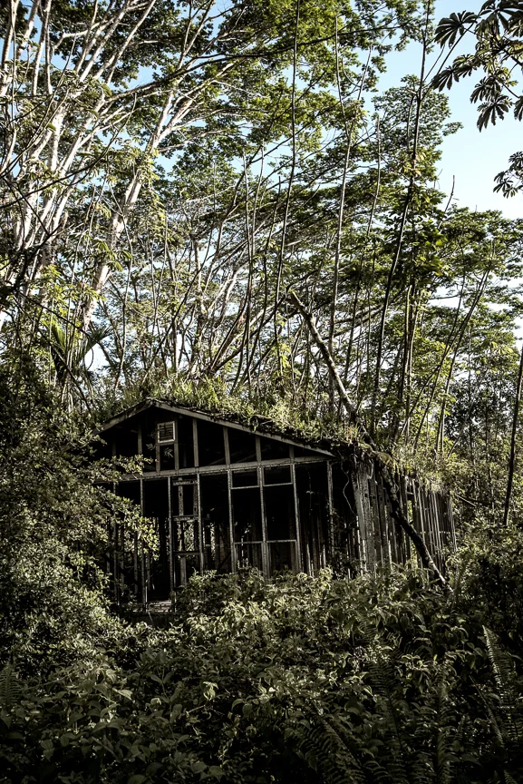 DSC_0737 as Smart Object-1-2.jpg