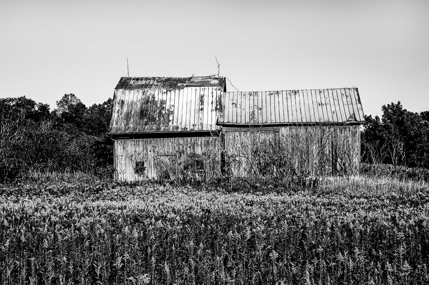 DSC_6729 as Smart Object-bw-2.jpg