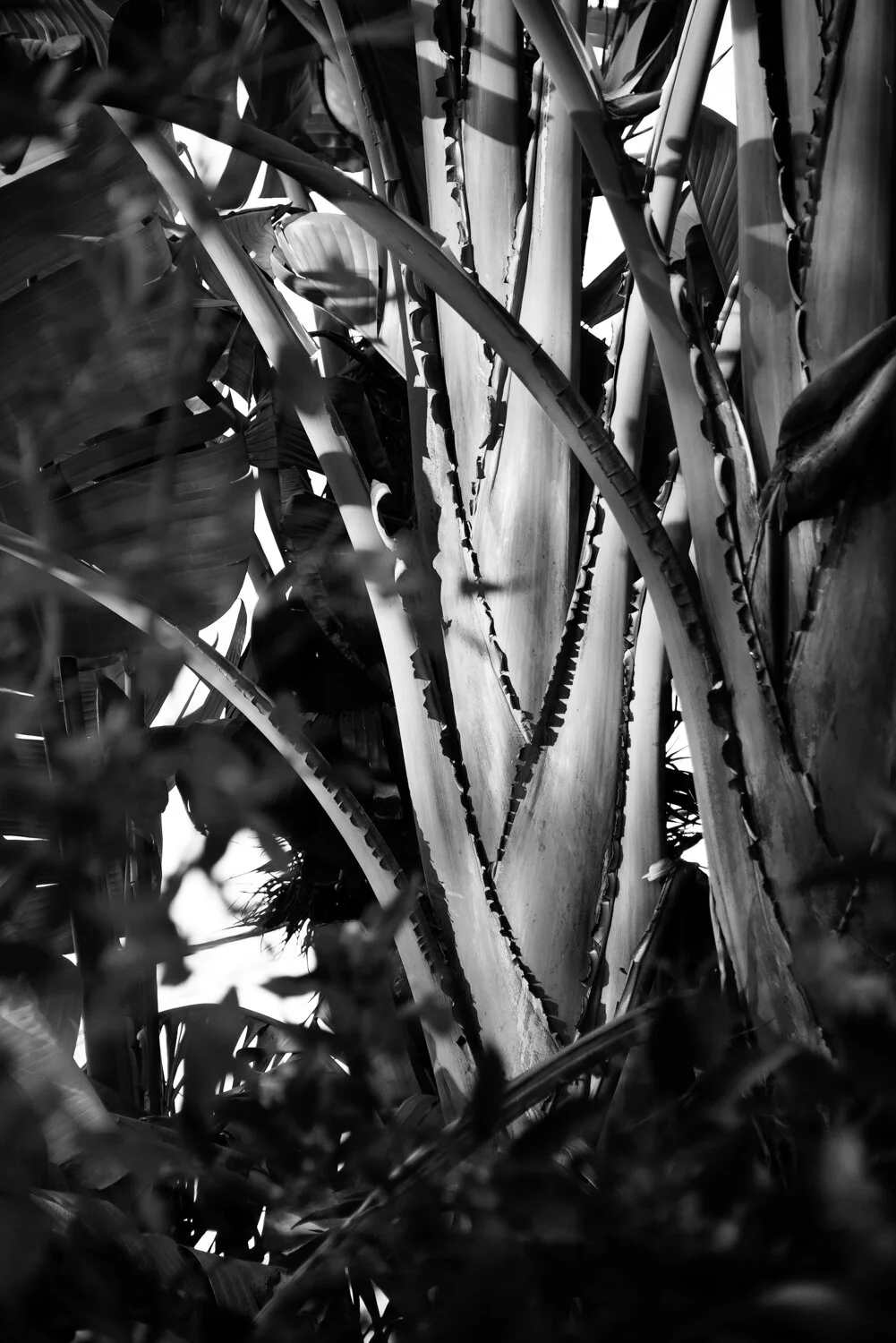 Matthias Brandt Photography-3.jpg