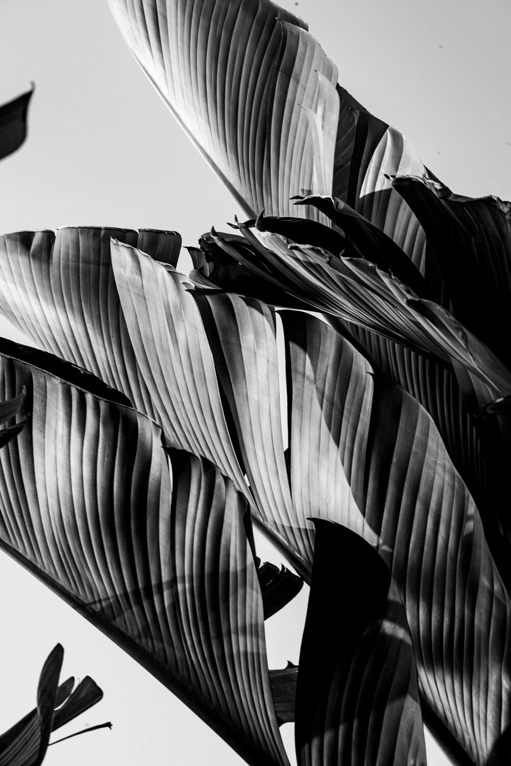 Matthias Brandt Photography-4.jpg