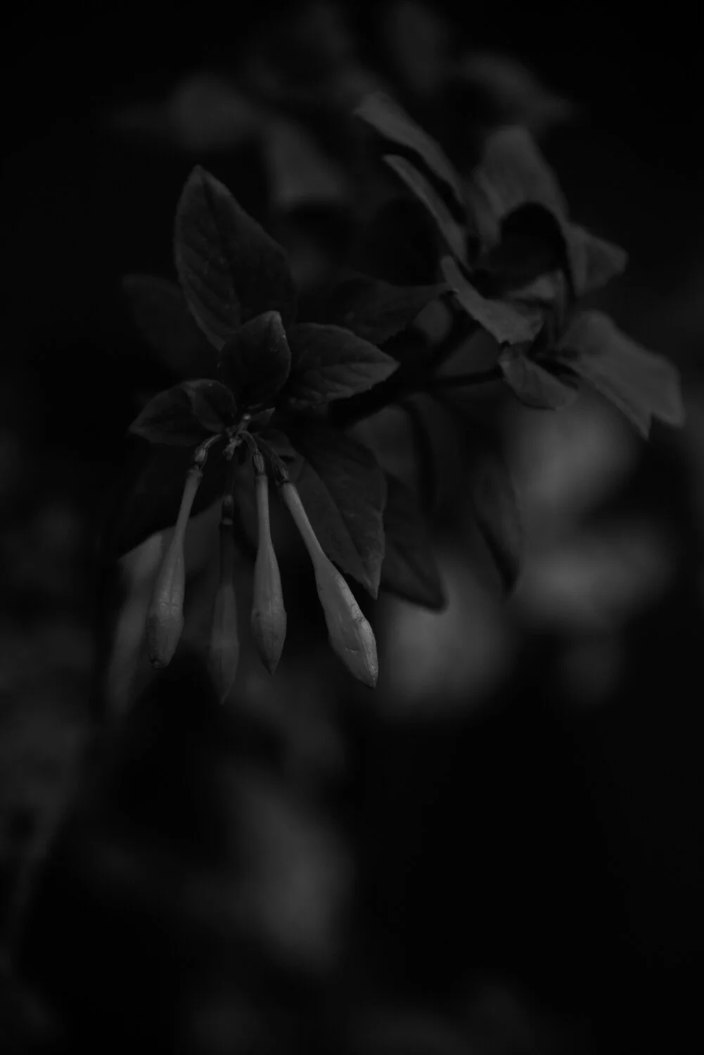 Matthias Brandt Photography-6.jpg