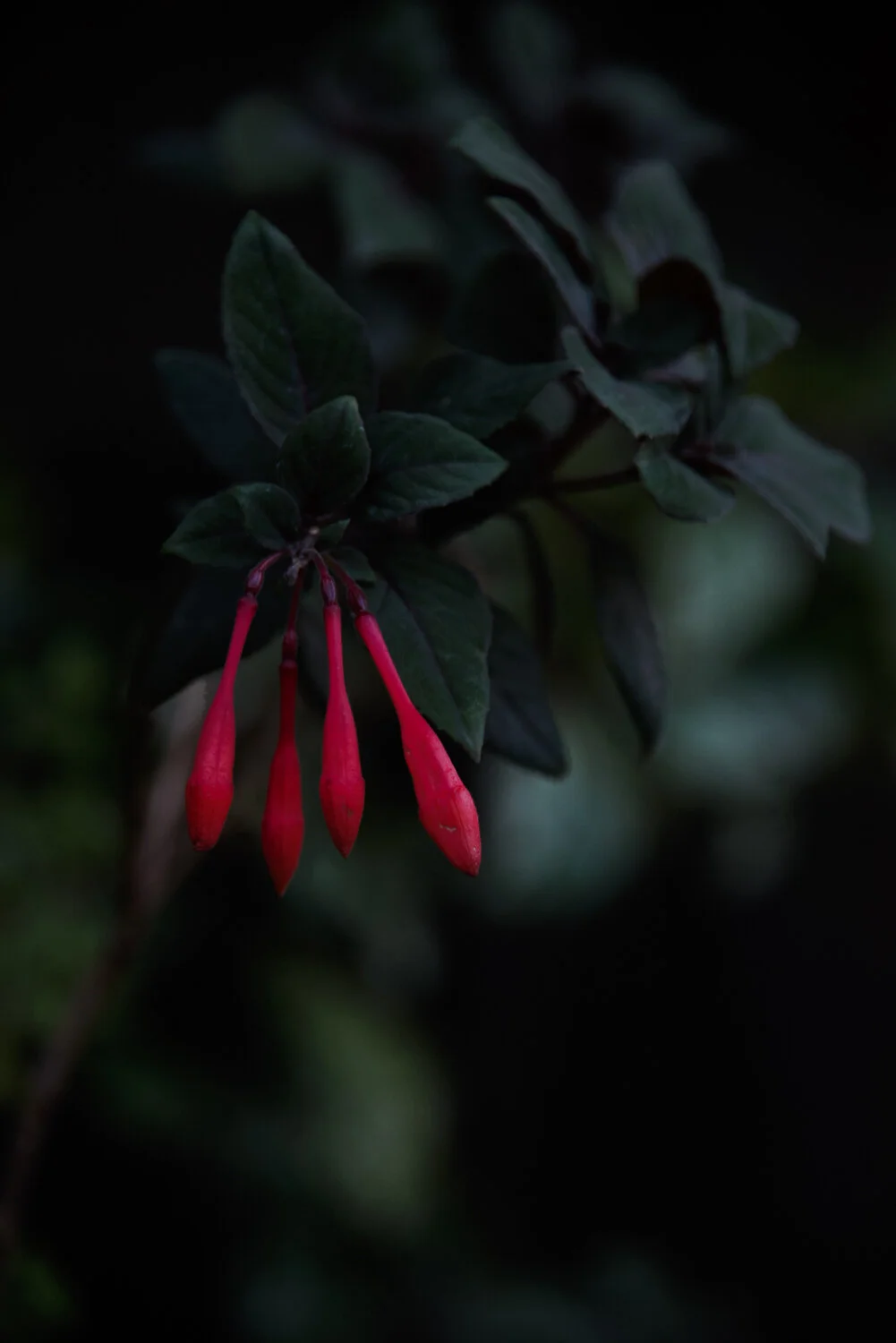 Matthias Brandt Photography-7.jpg