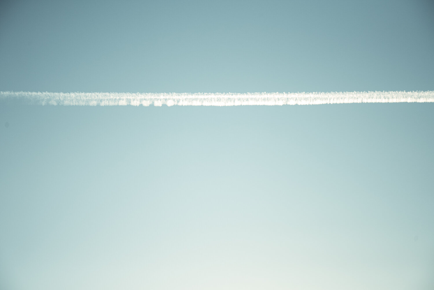 Matthias Brandt Photography-9.jpg