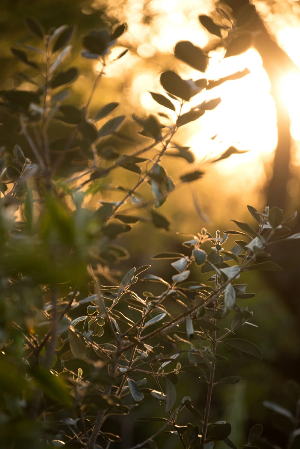 Matthias Brandt Photography-10.jpg