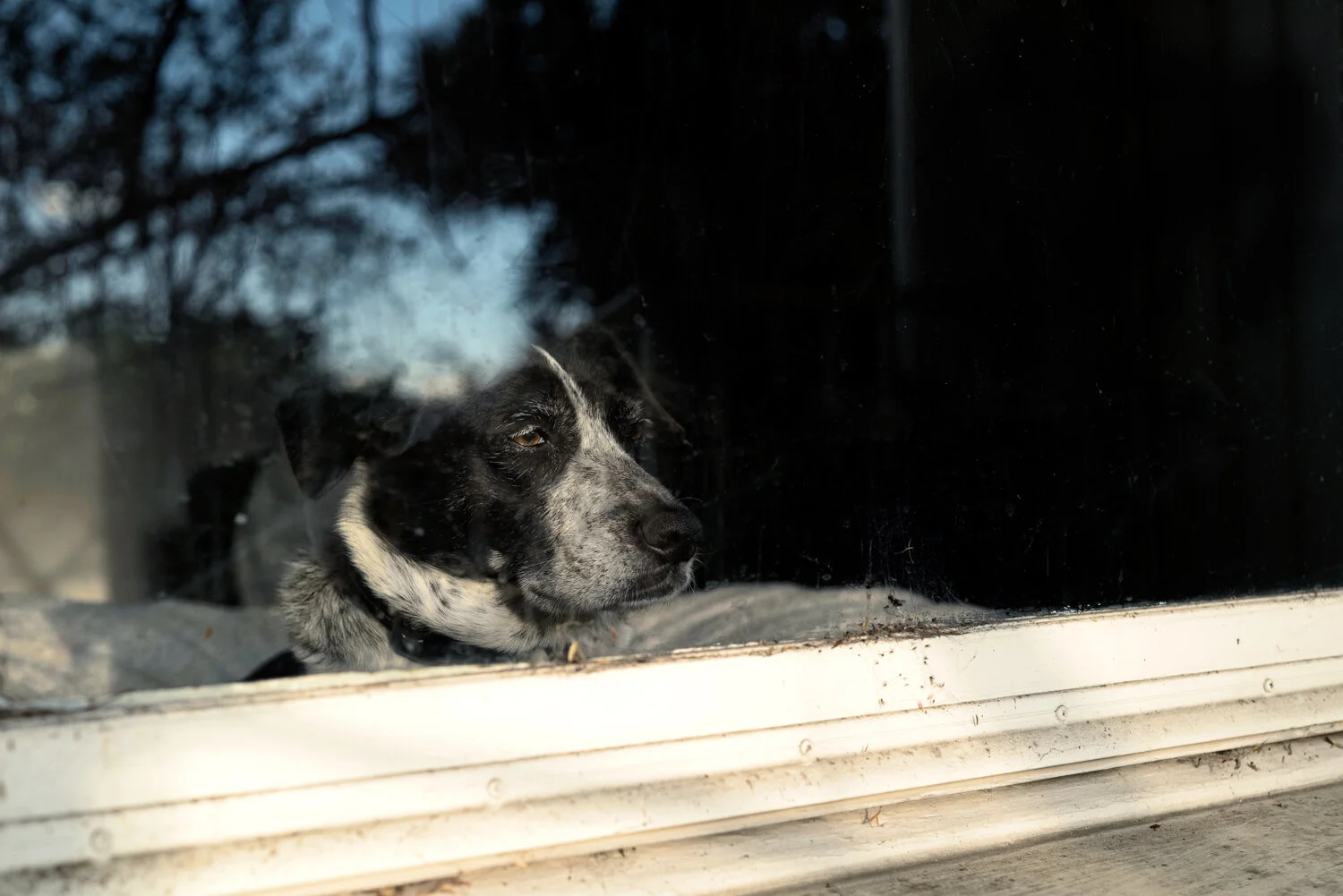 Matthias Brandt Photography-14.jpg