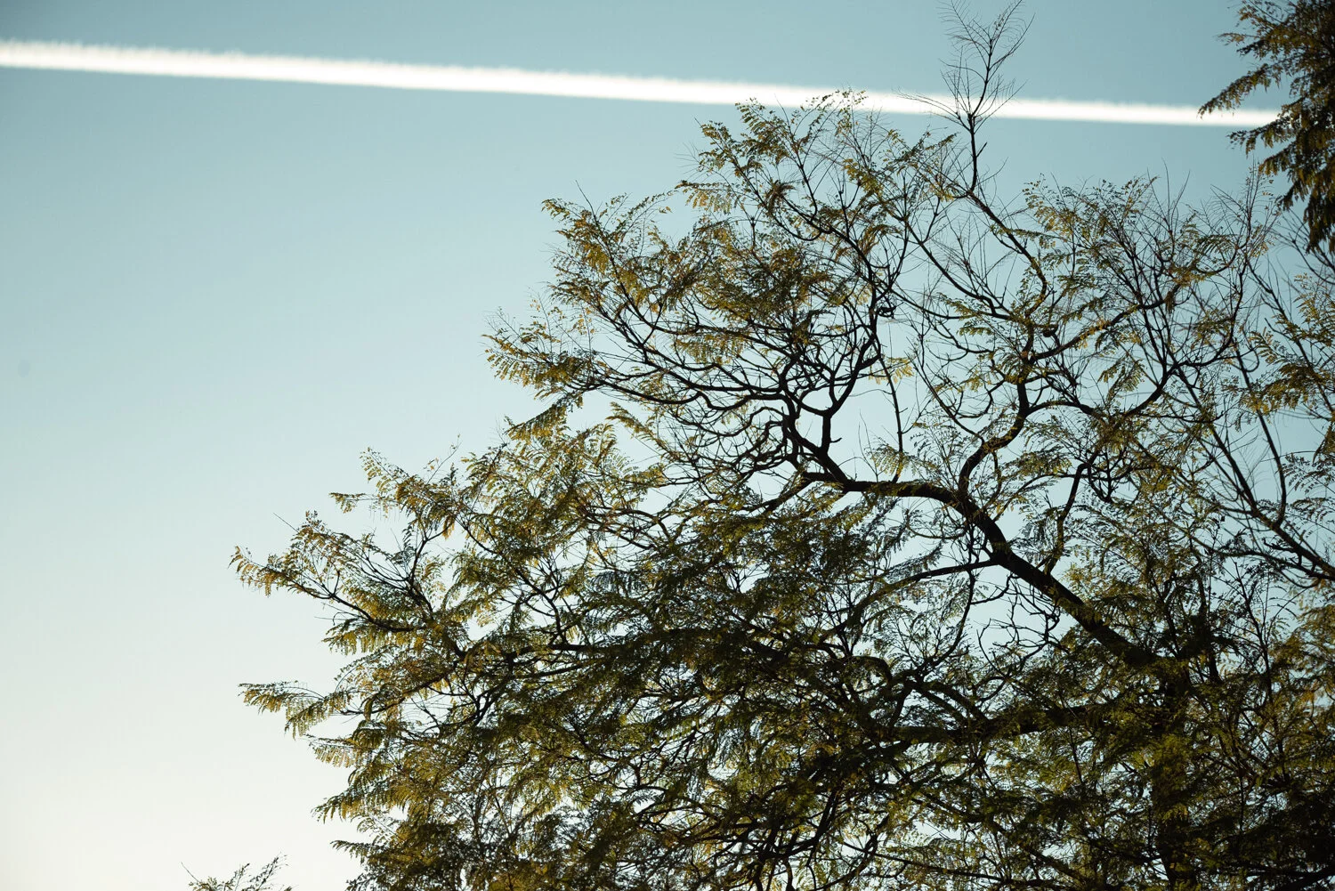 Matthias Brandt Photography-13.jpg