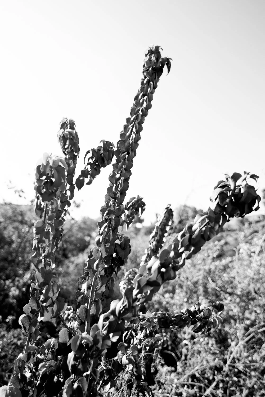 Matthias Brandt Photography-16.jpg