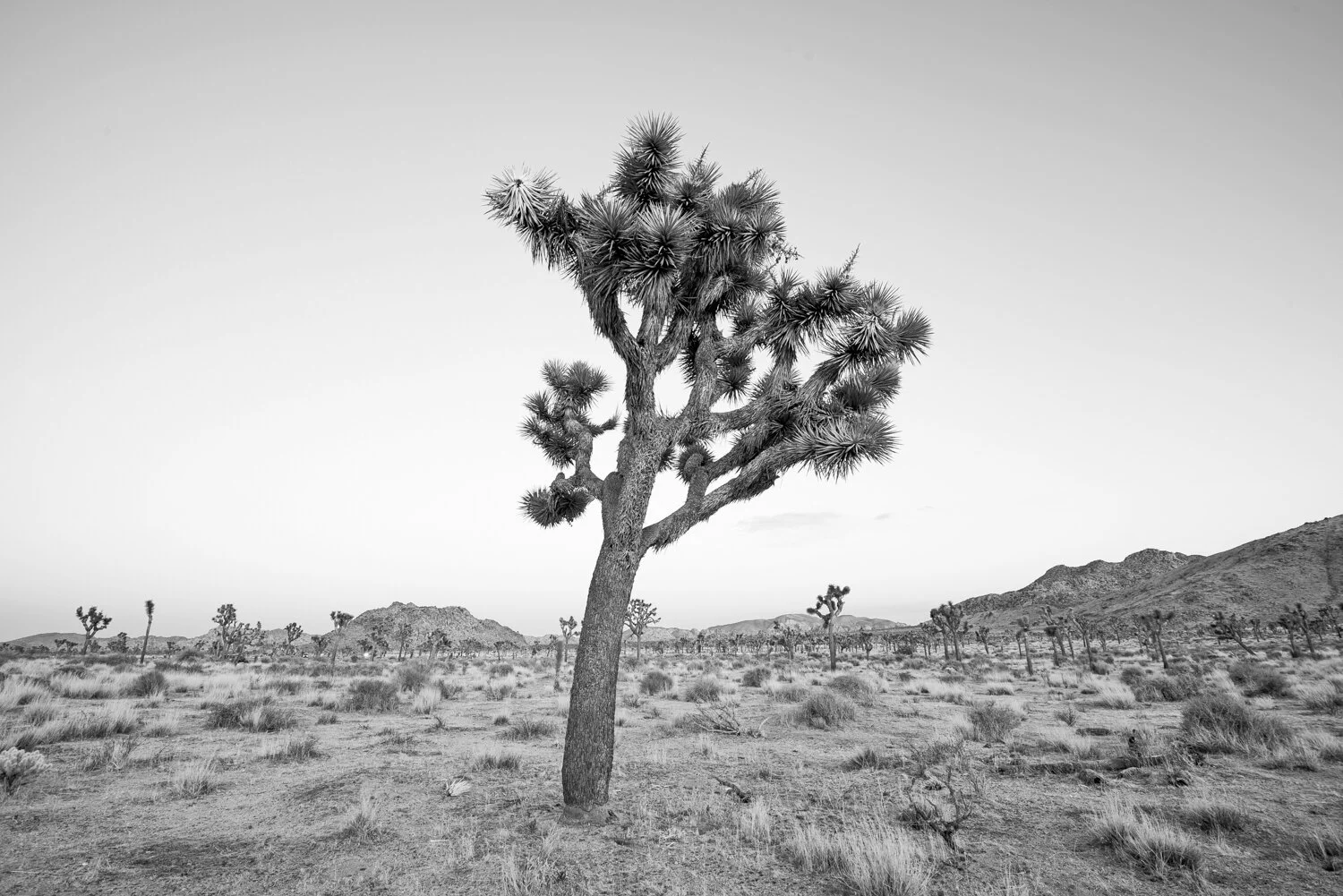 Matthias Brandt Photography-17.jpg