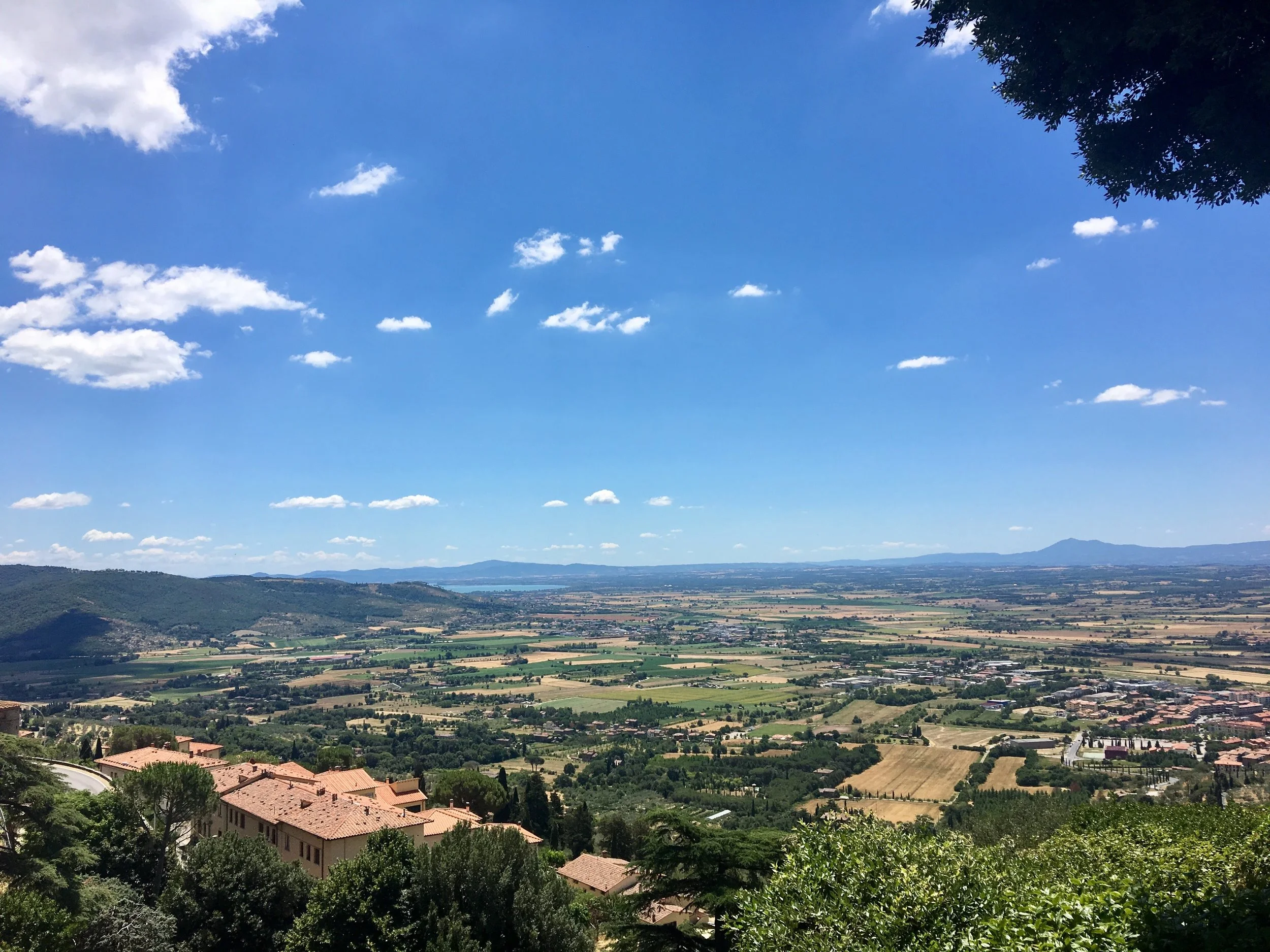  The hill…it's always leg day! 