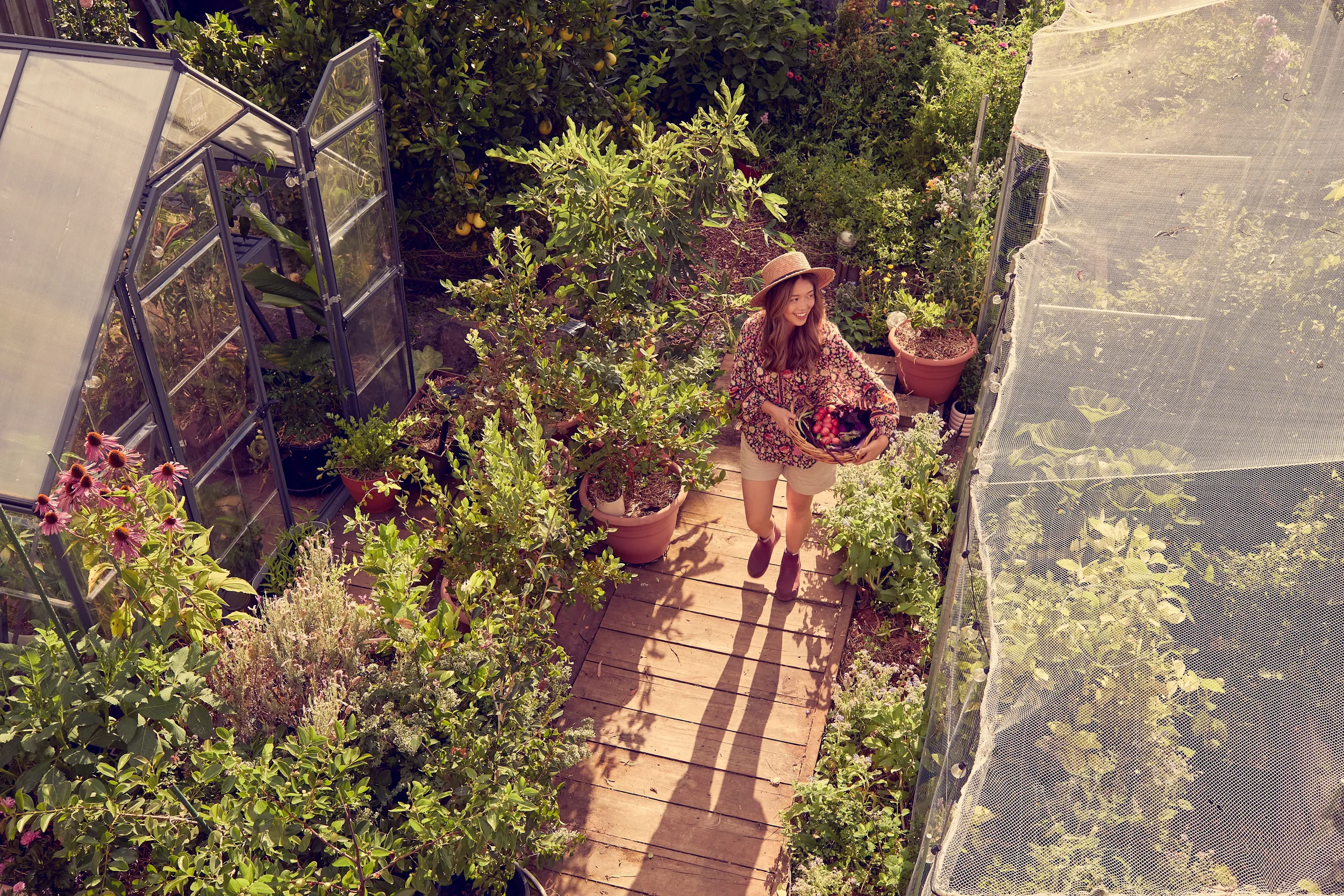 Connie Cao in the garden, viewed from above.