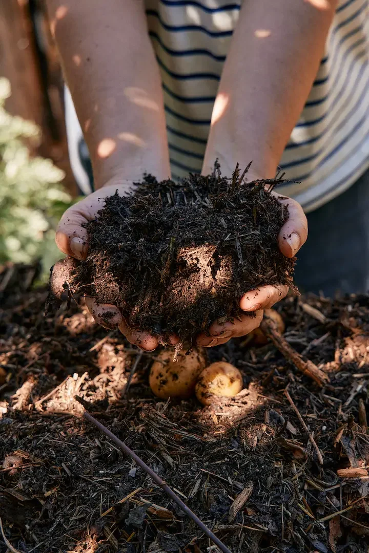 Natasha Morgan, hands in compost soil.