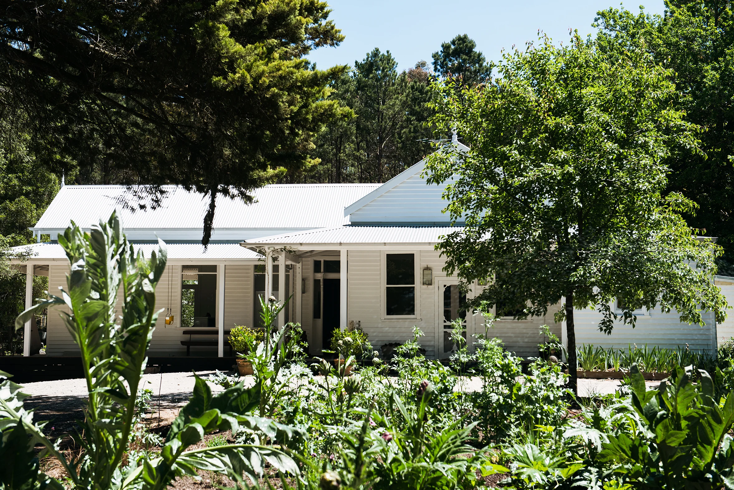 Natasha Morgan_The House.jpg