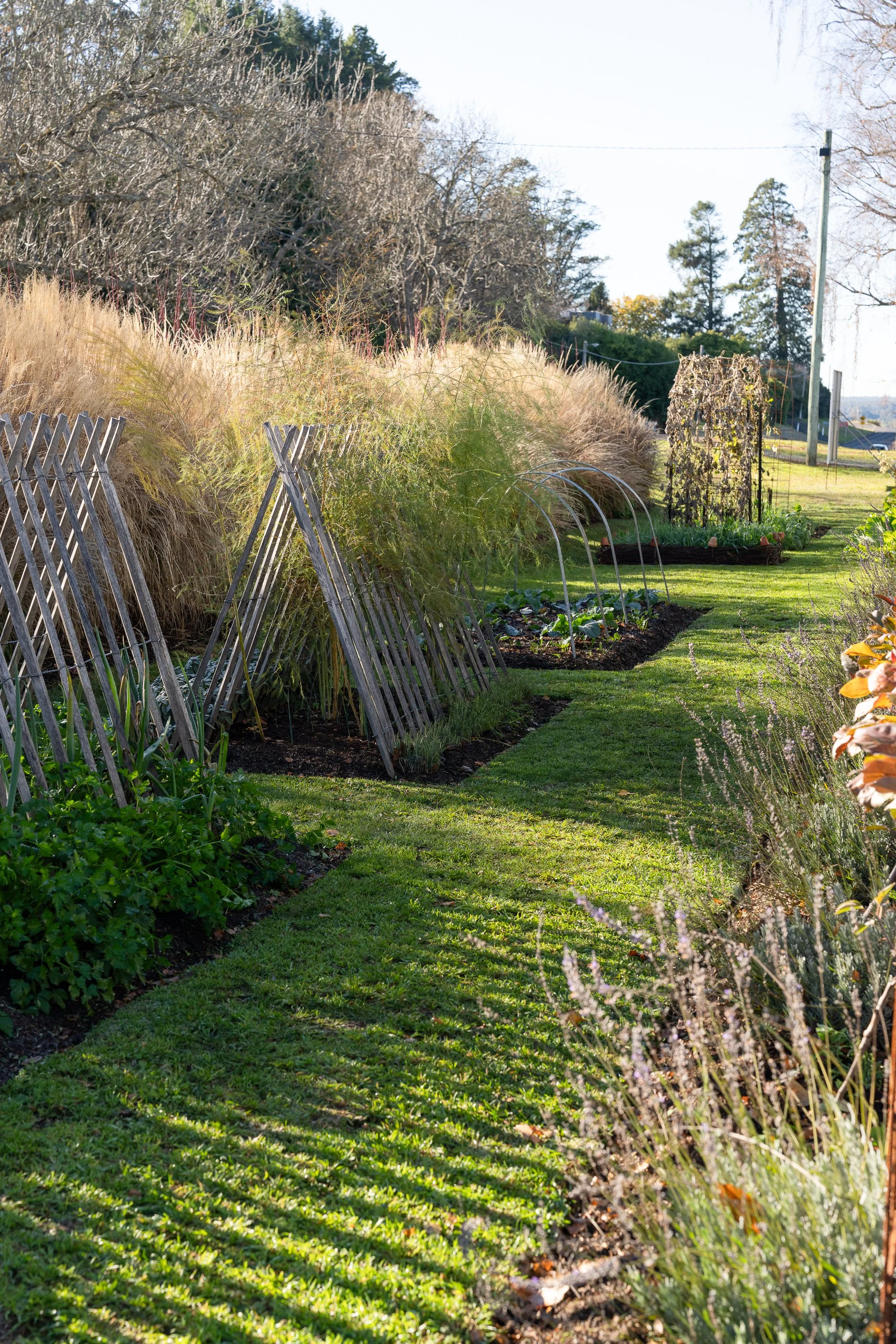 NatashaMorganWEB _byAmberGardener-035.jpg