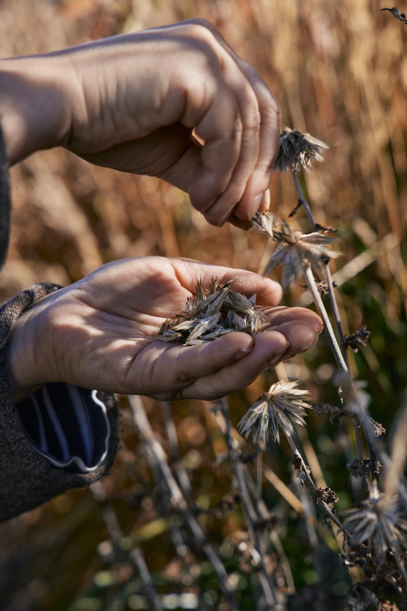 Natasha Morgan-EWeaving-May2024-166A0834.jpg