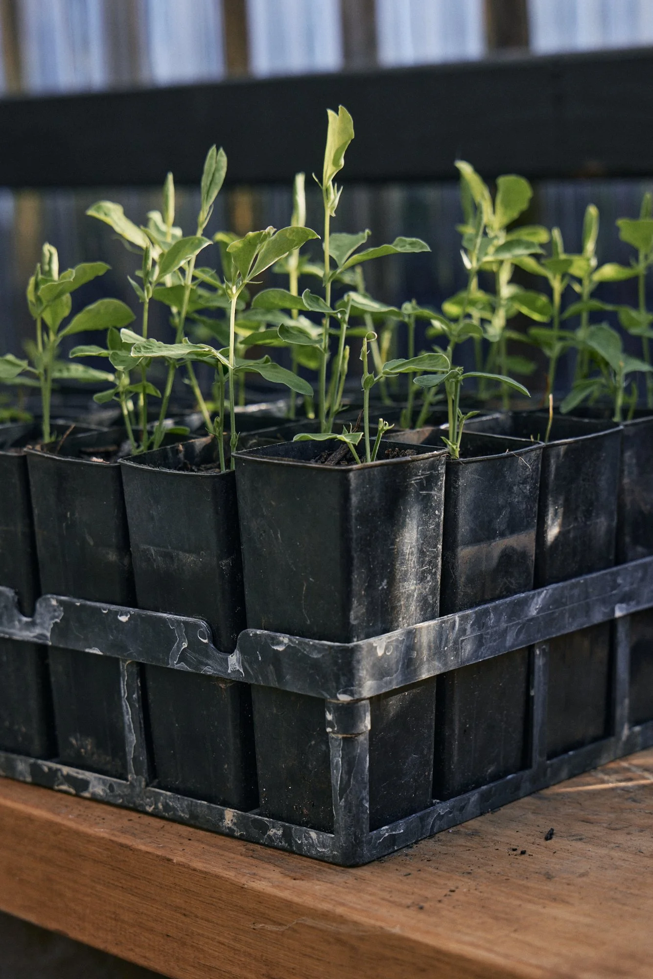 Natasha Morgan-EWeaving-May2024-166A0654.jpg