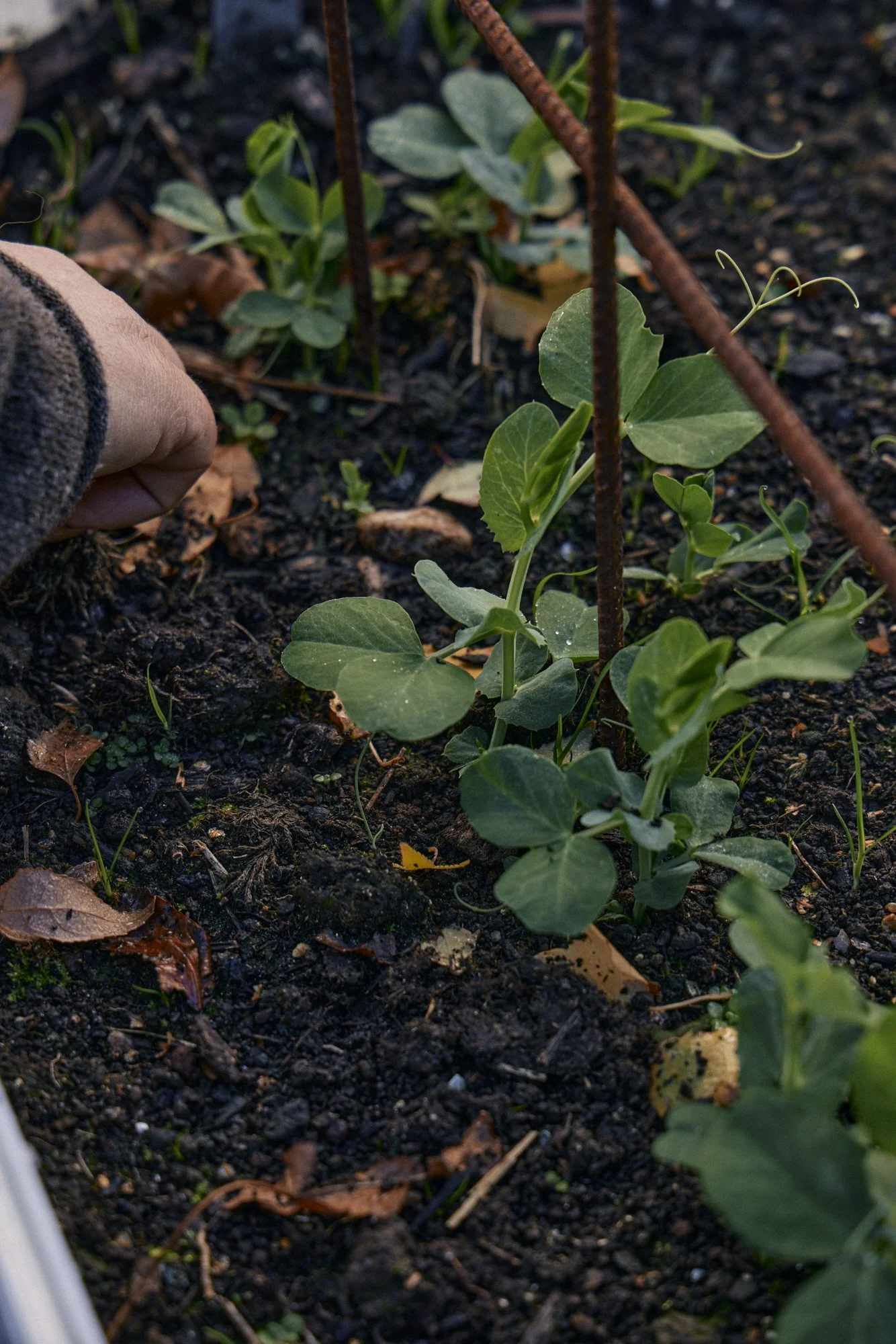 Natasha Morgan-EWeaving-May2024-166A8672.jpg