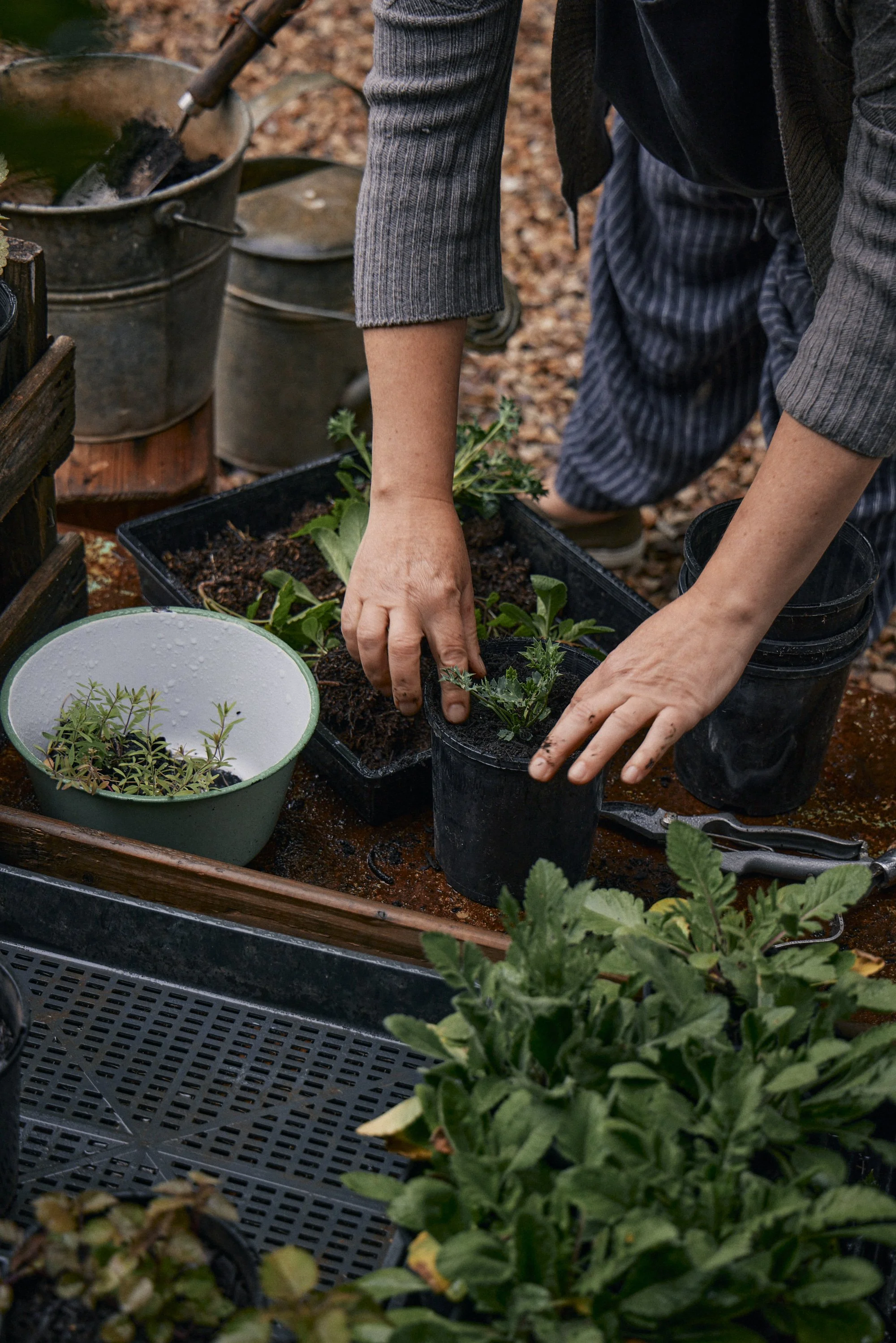 Natasha Morgan-EWeaving-Dec2023-166A4220.JPG