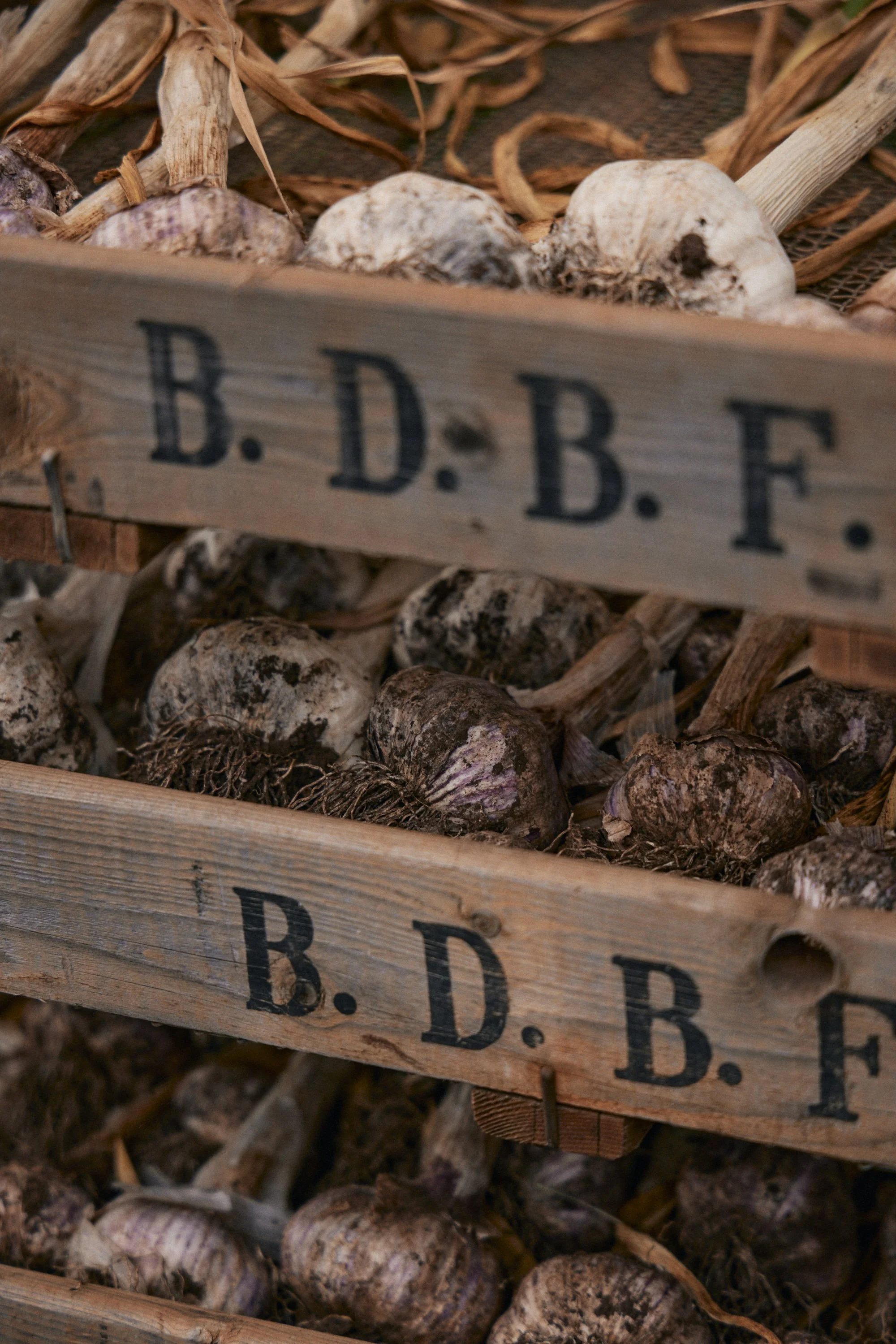 Natasha Morgan-EWeaving-Dec2023-166A4344.JPG