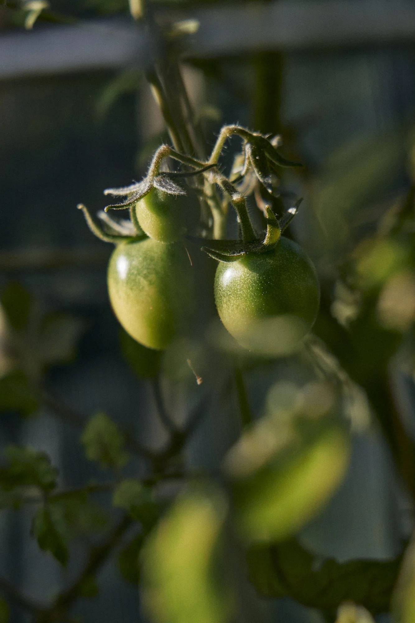 Natasha Morgan-EWeaving-May2024-166A0629.JPG