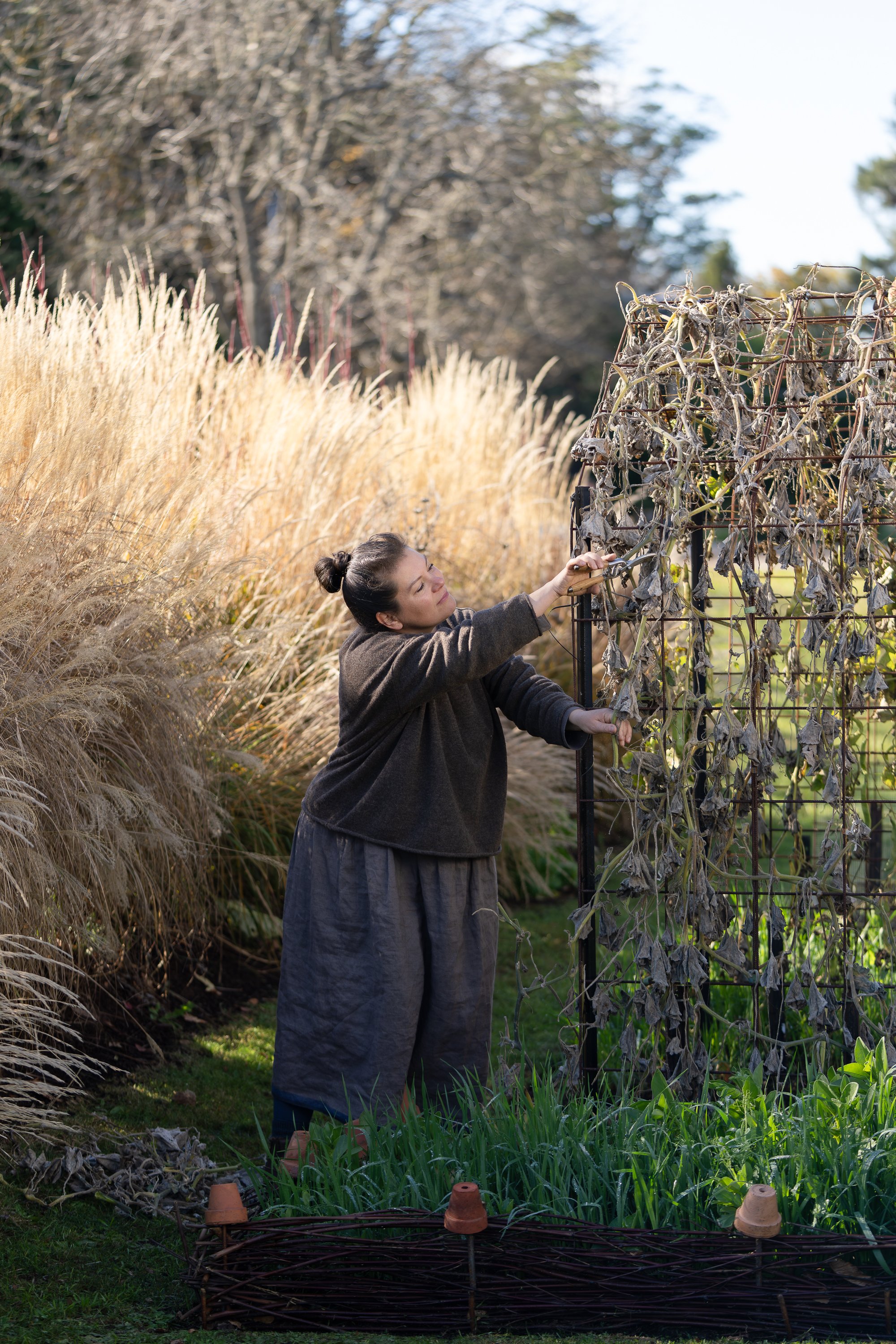 NatashaMorganWEB _byAmberGardener-442.jpg