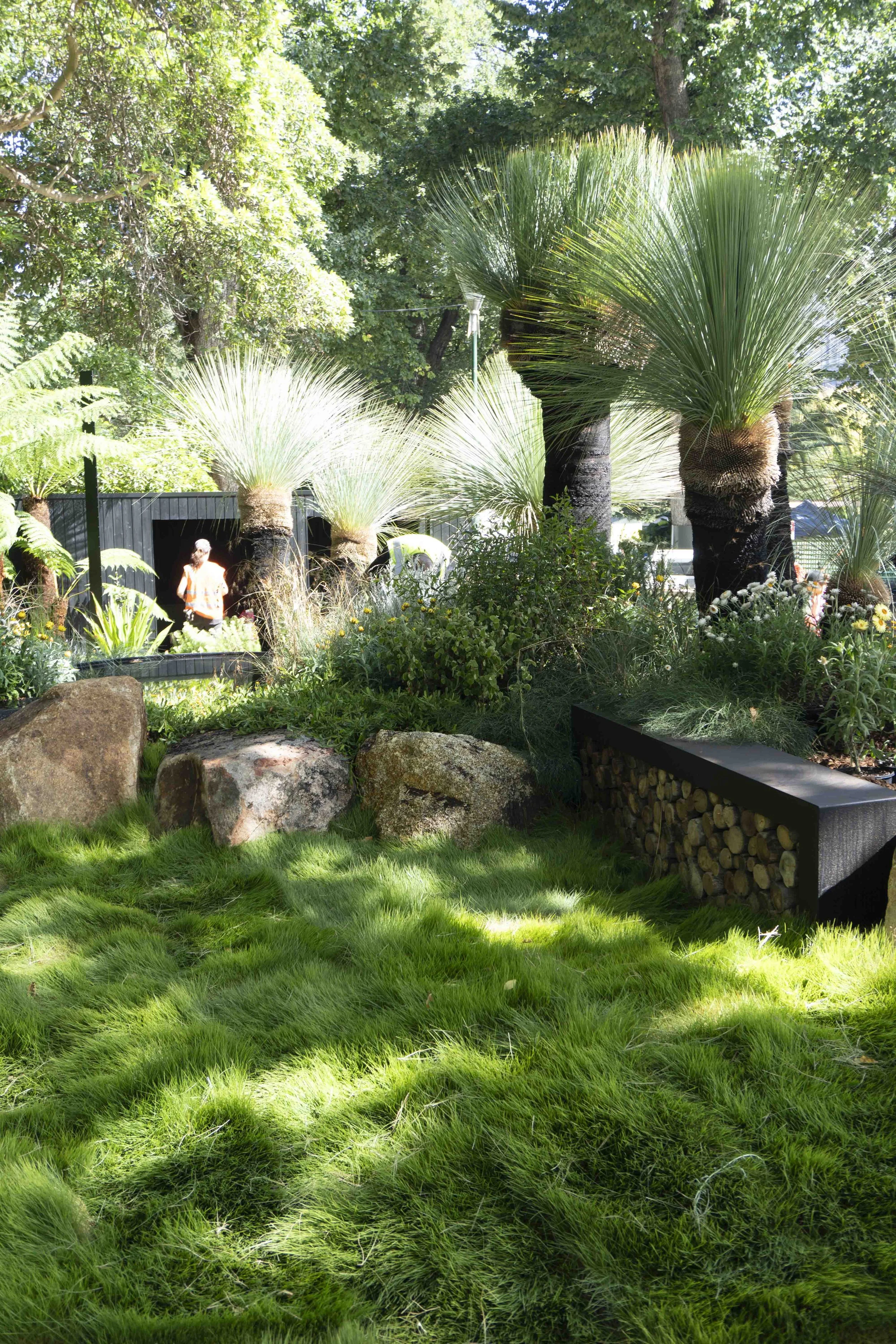 IG11_We the Wild_DSC00096.JPG