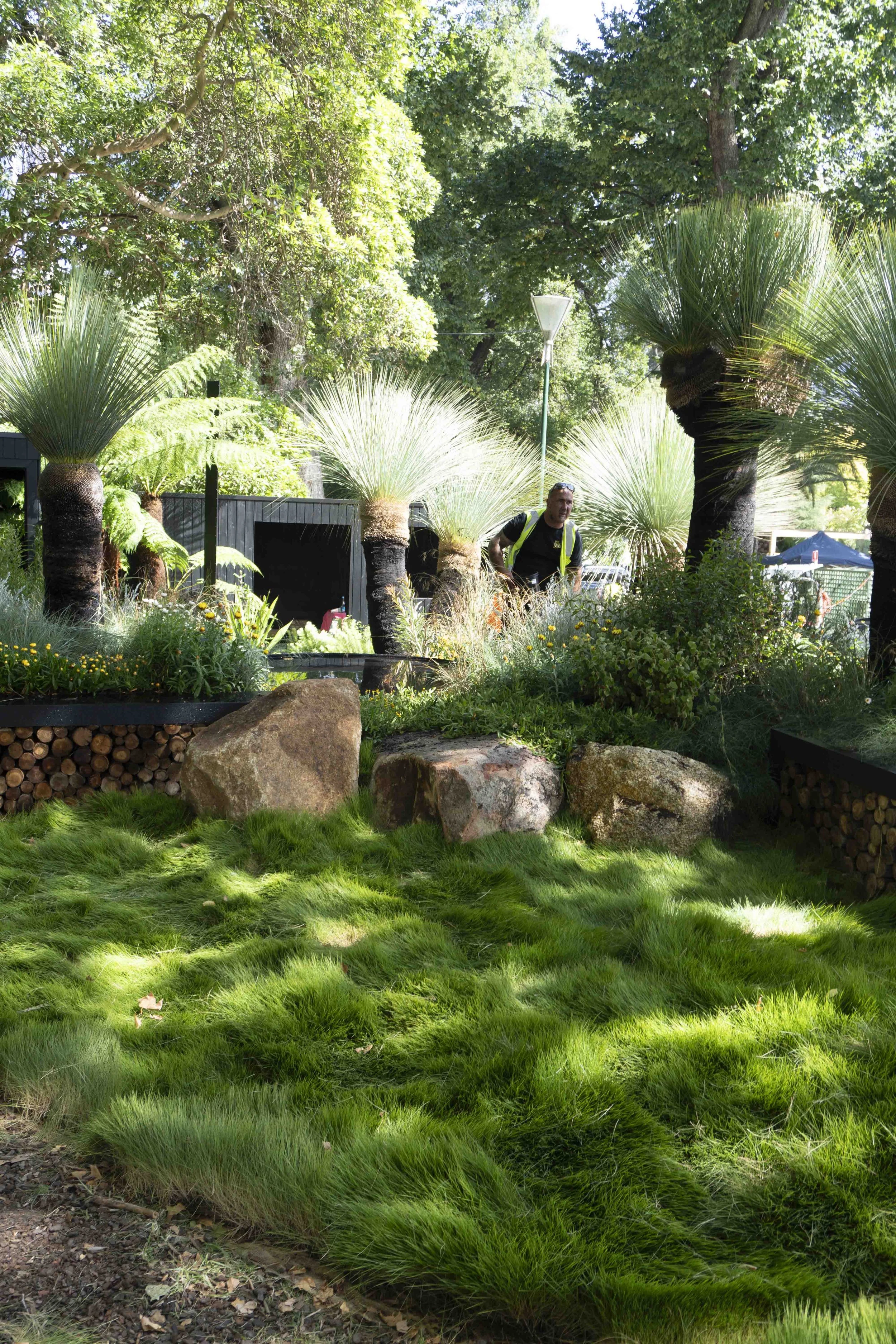 We the Wild_DSC00092.JPG